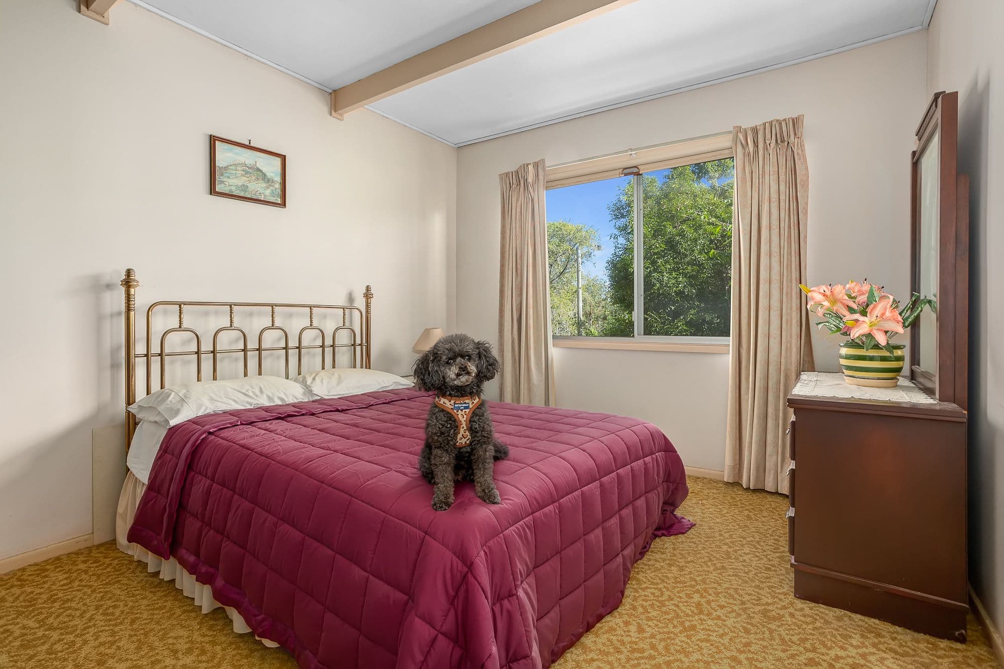 24 Loffs Road, Jamboree Heights QLD 4074, Jamboree Heights - Thumbnail 2