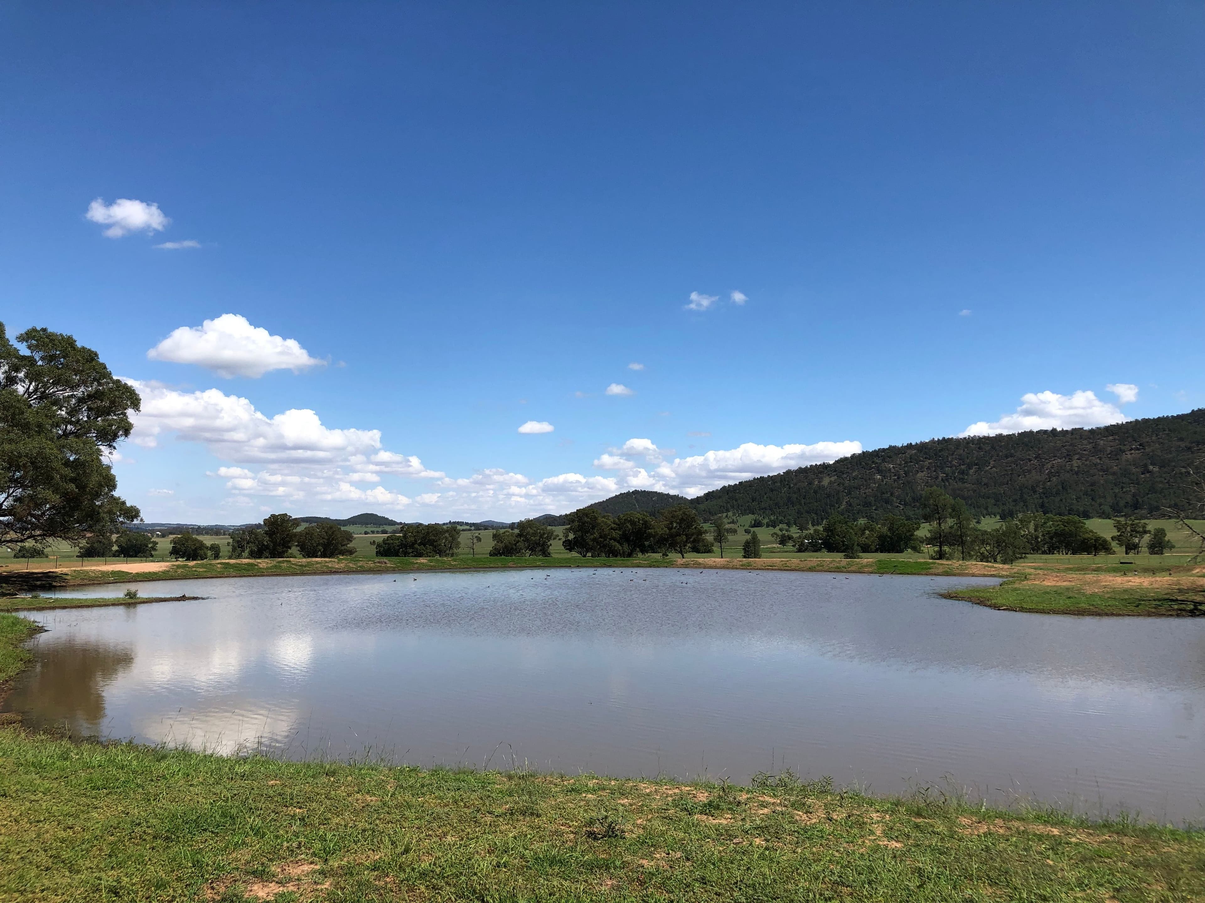 Eugowra NSW 2806, Eugowra - Thumbnail 4