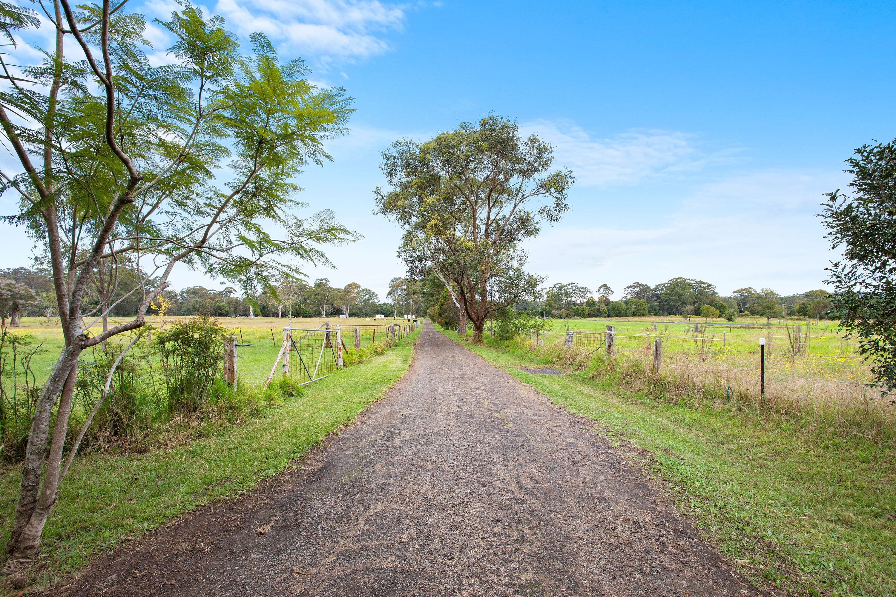 25 Mardi Road, Mardi NSW 2259, Mardi - Thumbnail 6