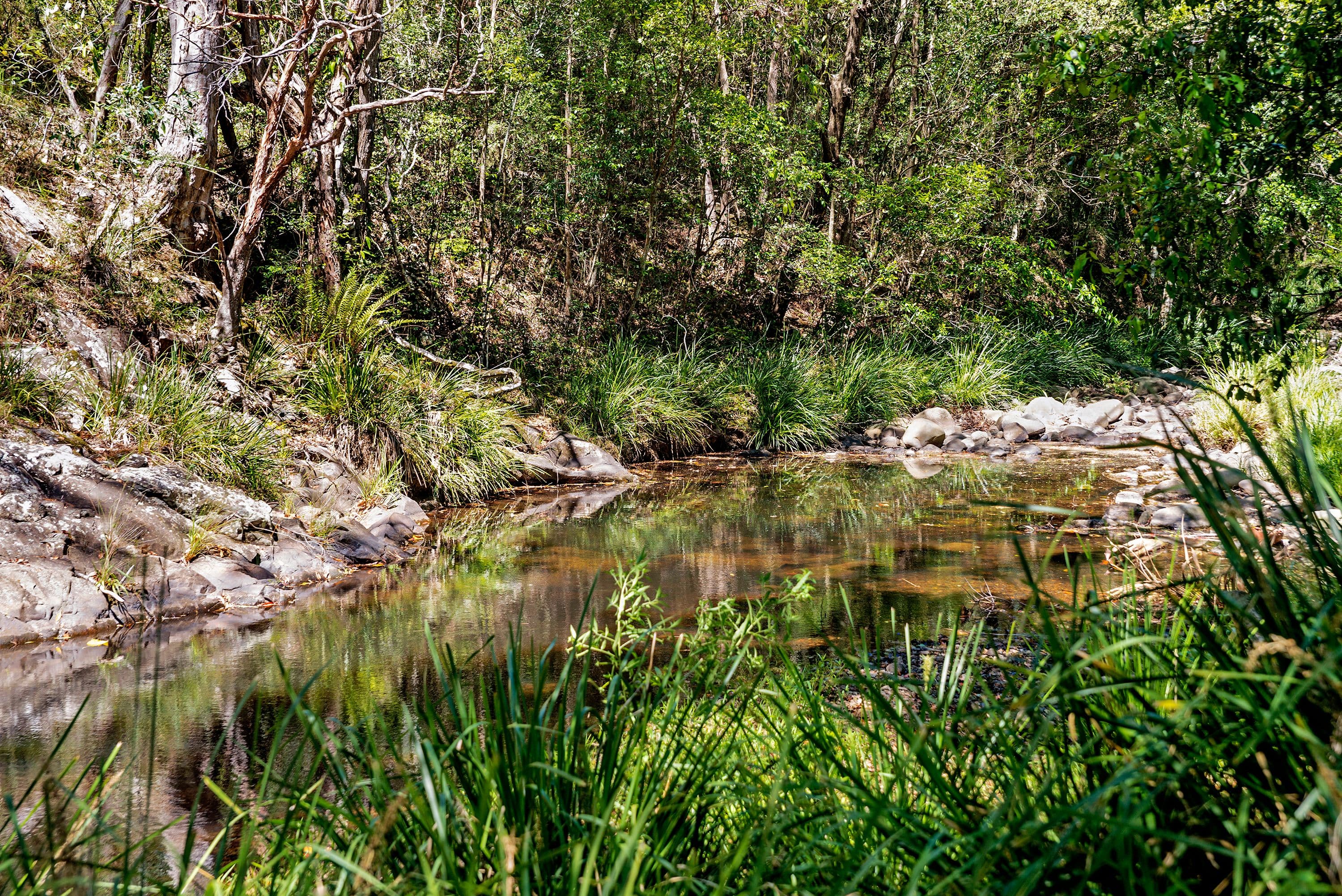 42 Welches Road, Wongawallan QLD 4210, Wongawallan - Thumbnail 7
