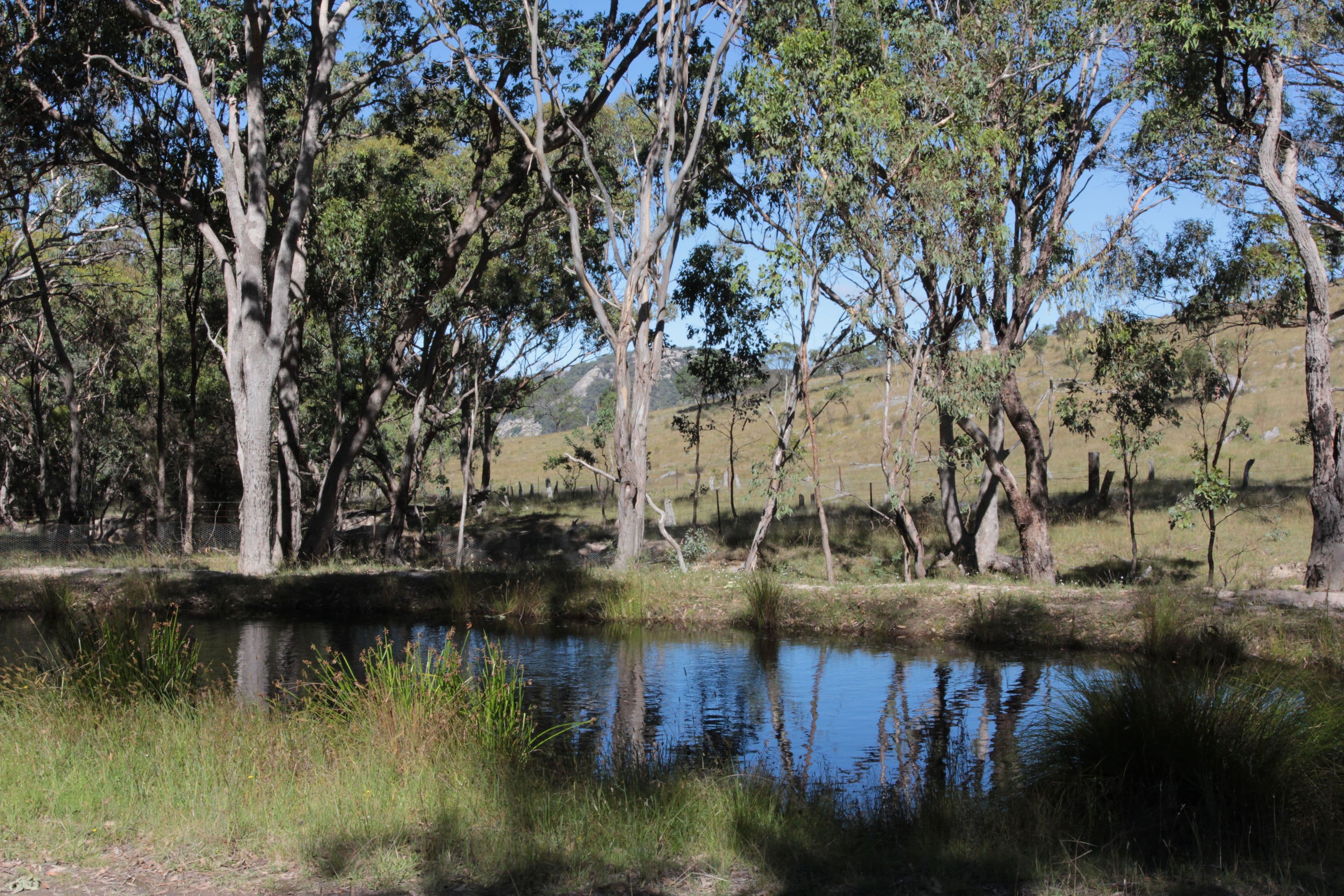 Lot 23 Harvey's Lane, TENTERFIELD NSW 2372, Tenterfield - Image 1
