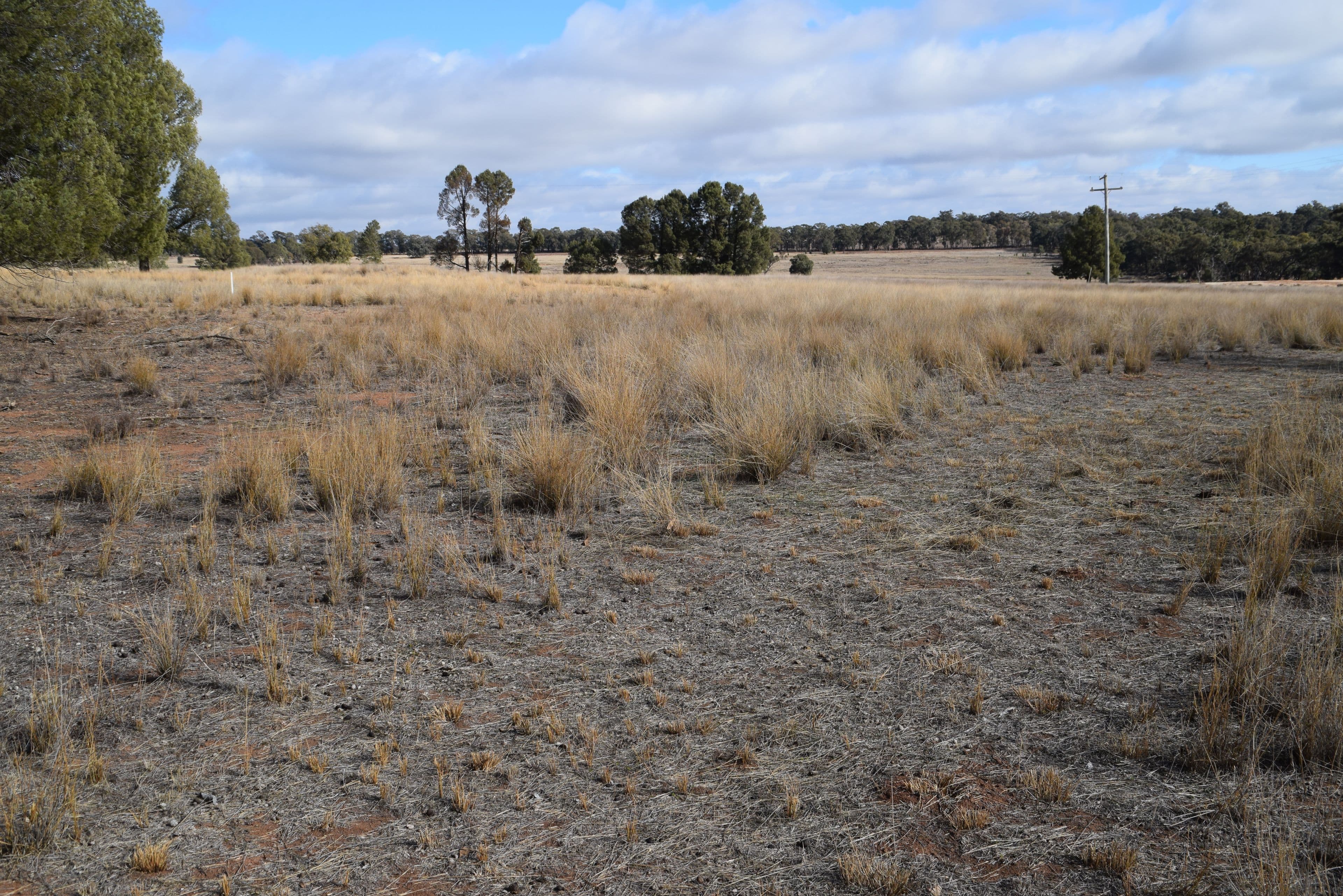 10R Buddens Road, Dubbo NSW 2830, Dubbo - Thumbnail 2