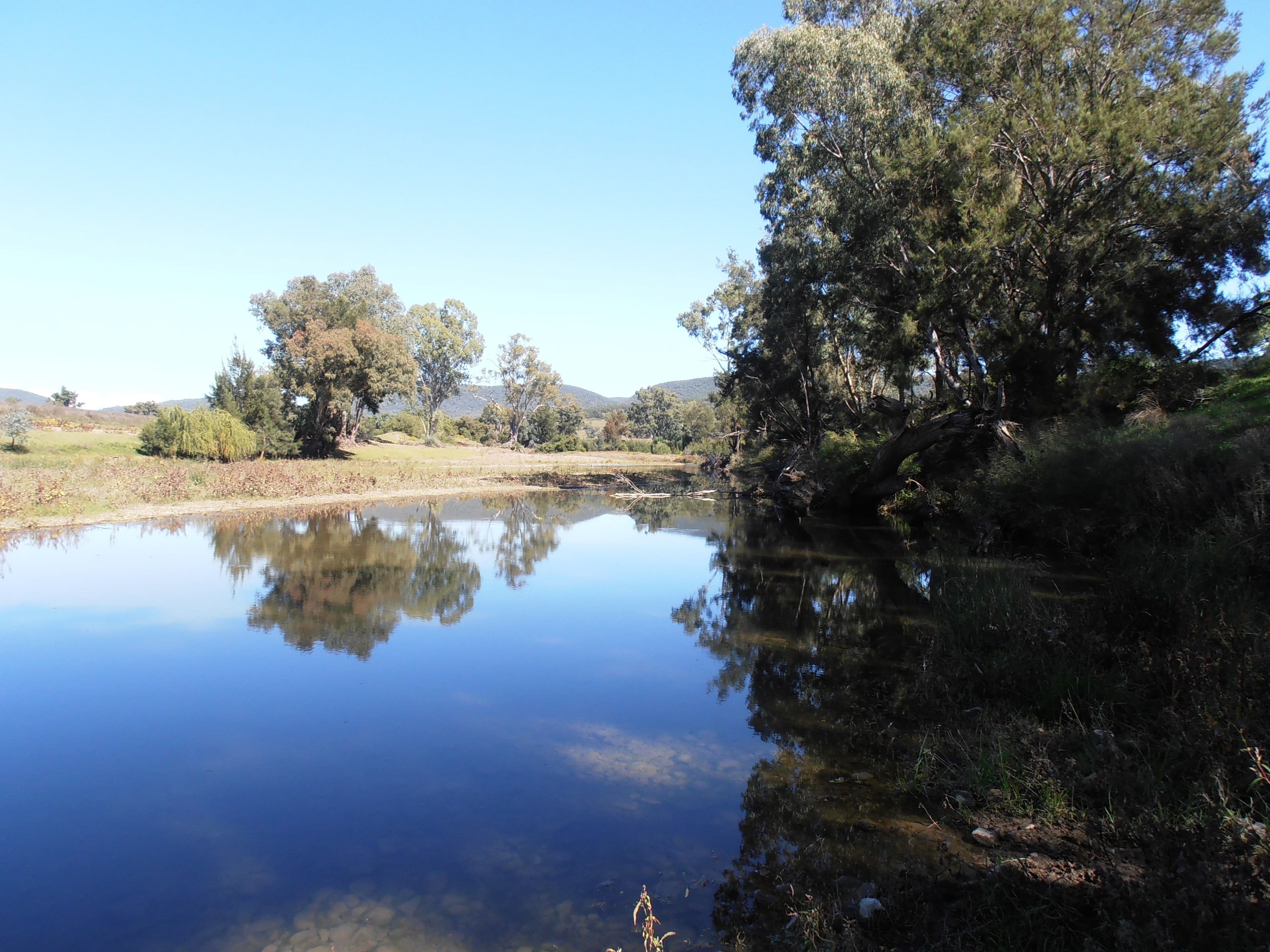 " Box Hill", BINGARA NSW 2404, Bingara - Thumbnail 2