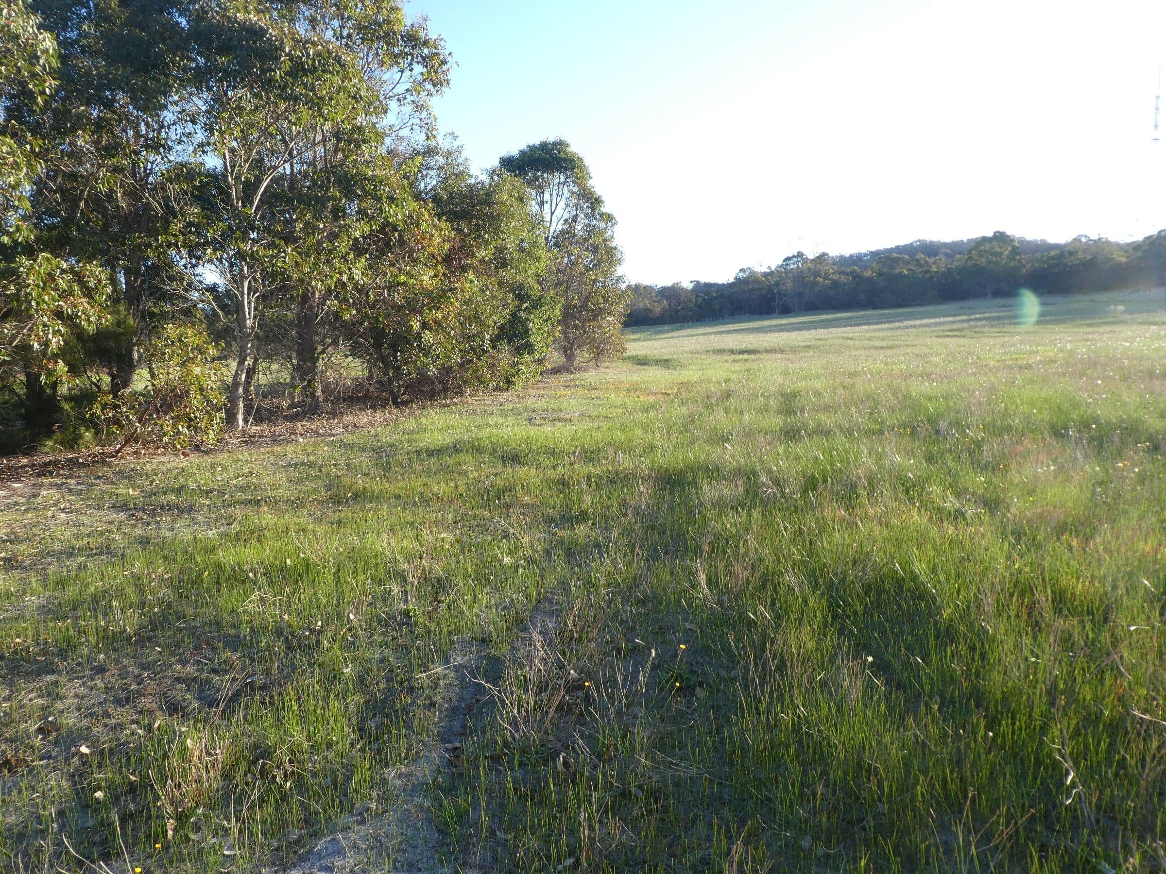 Lot 64 Braidwood Road, Mount Barker WA 6324, Mount Barker - Thumbnail 7