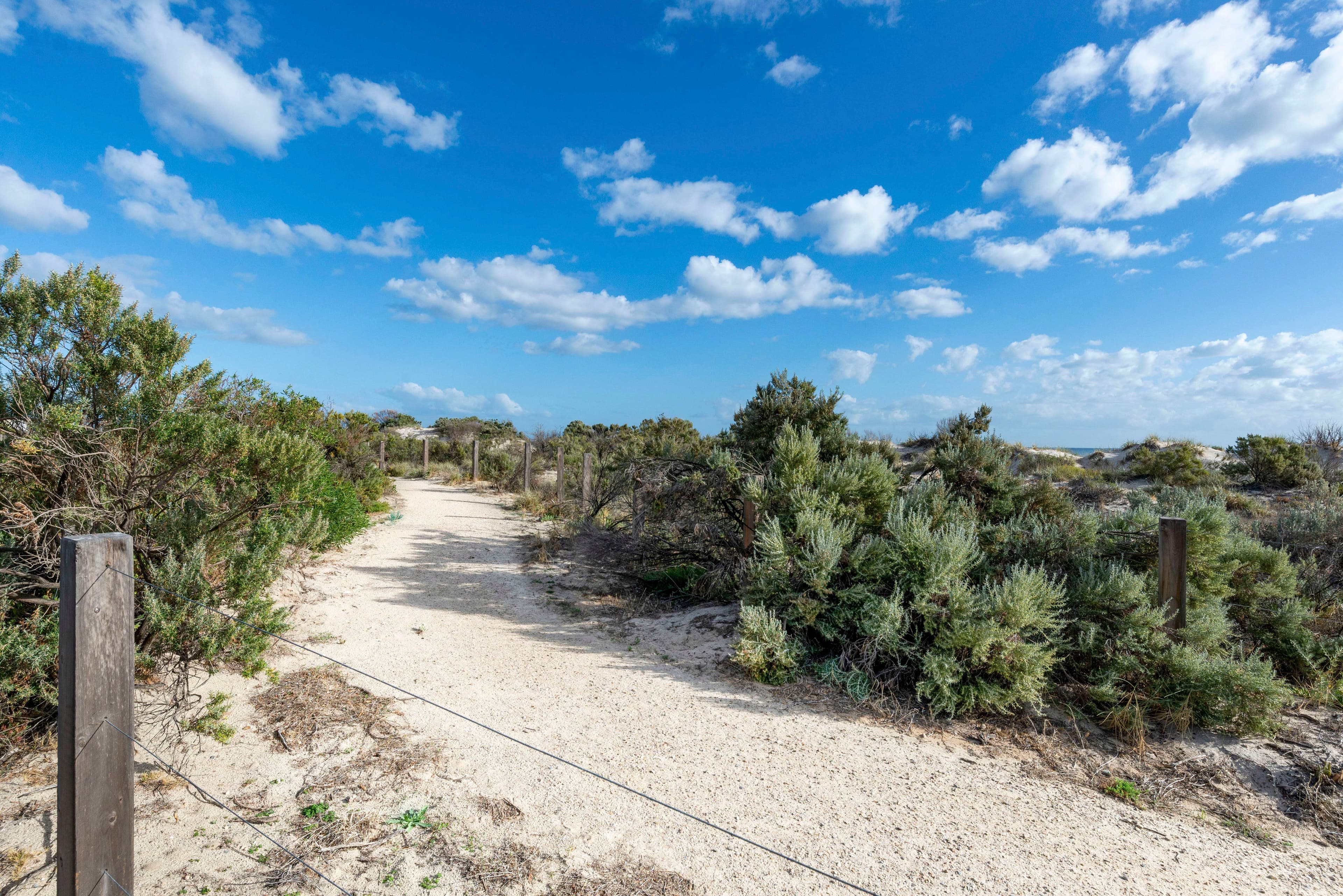 18 Dune Court, West Lakes Shore SA 5020, West Lakes Shore - Thumbnail 5