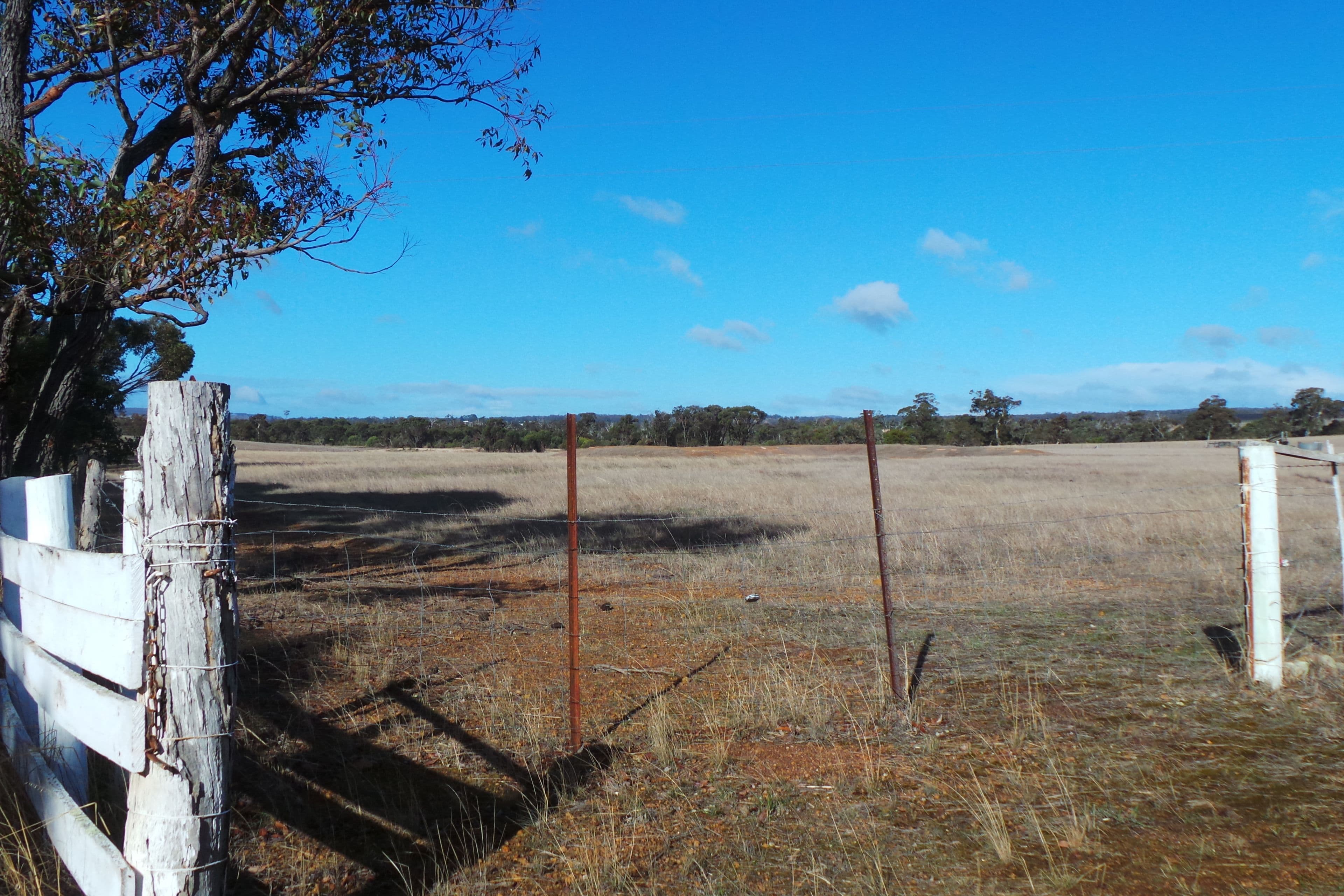 907 Carbarup Road, Kendenup WA 6323, Kendenup - Thumbnail 2