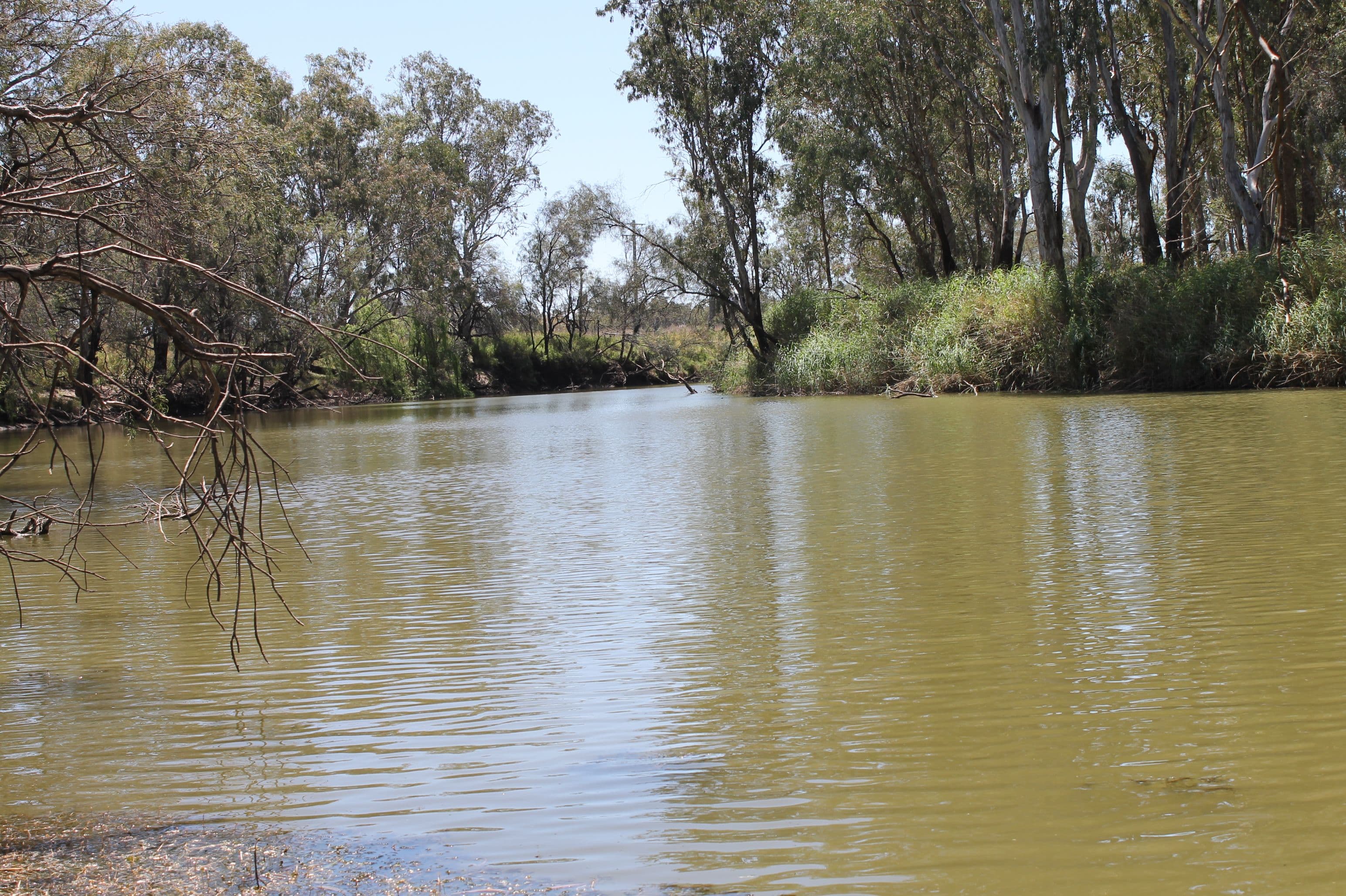 . MEENAWARRA HOUSE Block, CECIL PLAINS QLD 4407, Cecil Plains - Image 1