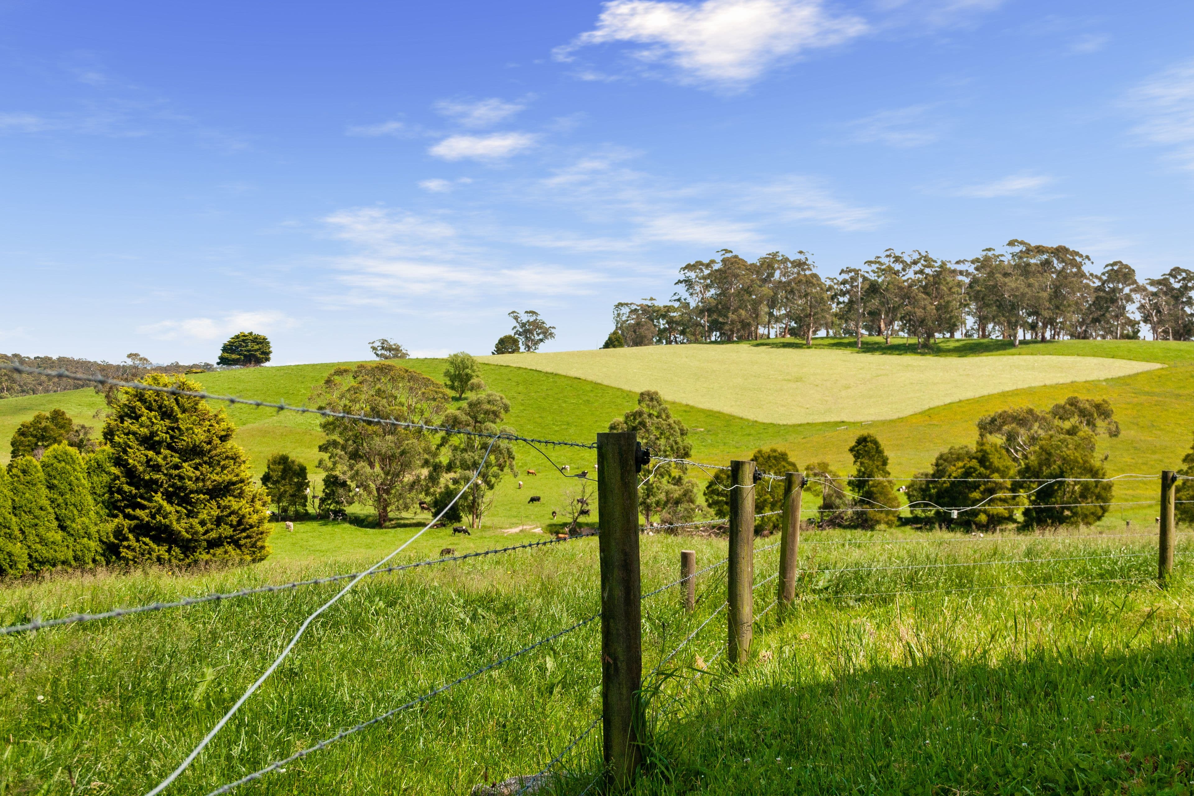 173 Torwood-Topiram Road,, Hallora VIC 3818, Hallora - Thumbnail 2