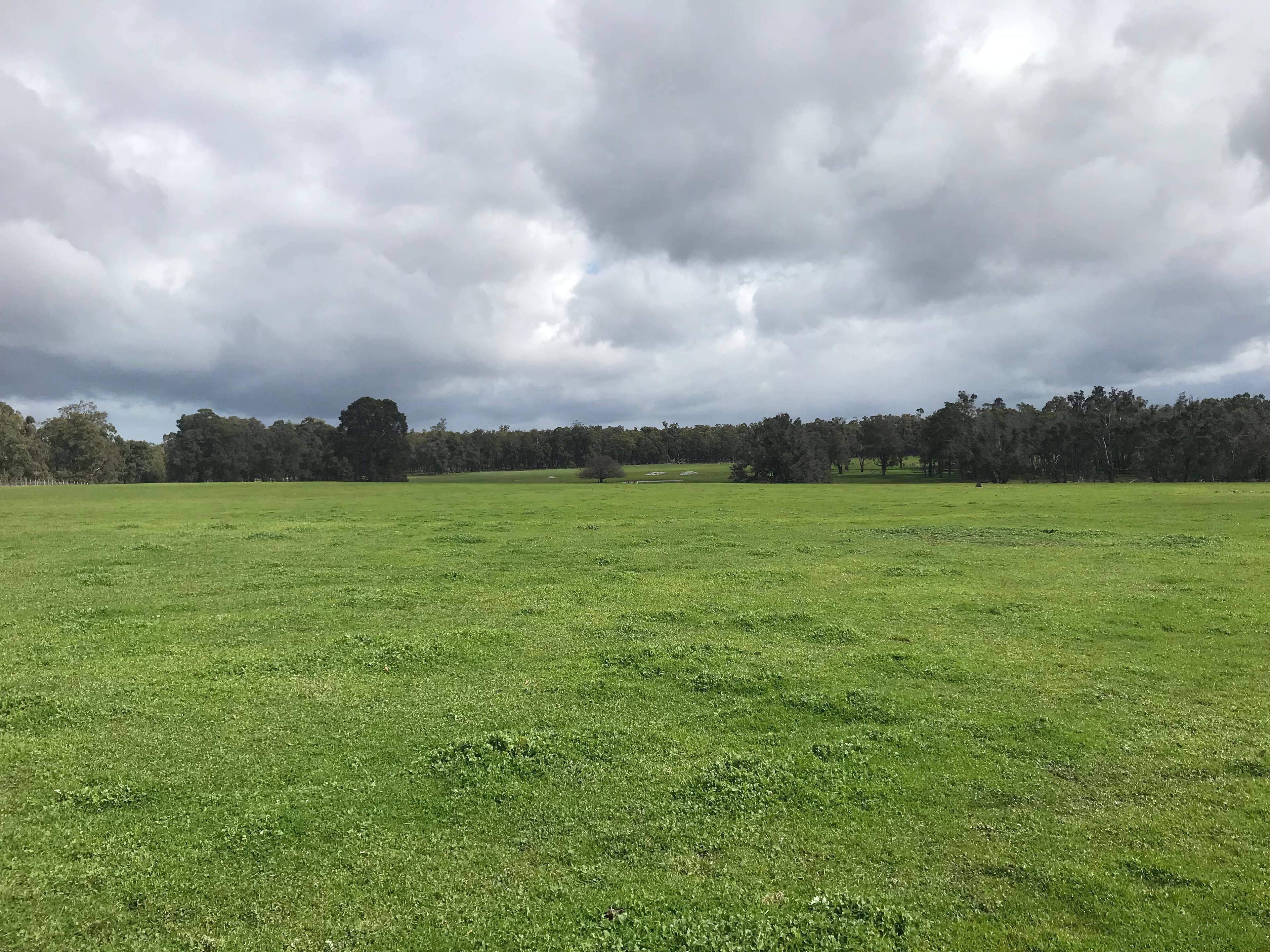 9434 Wilga Road, Donnybrook WA 6239, Donnybrook - Thumbnail 3
