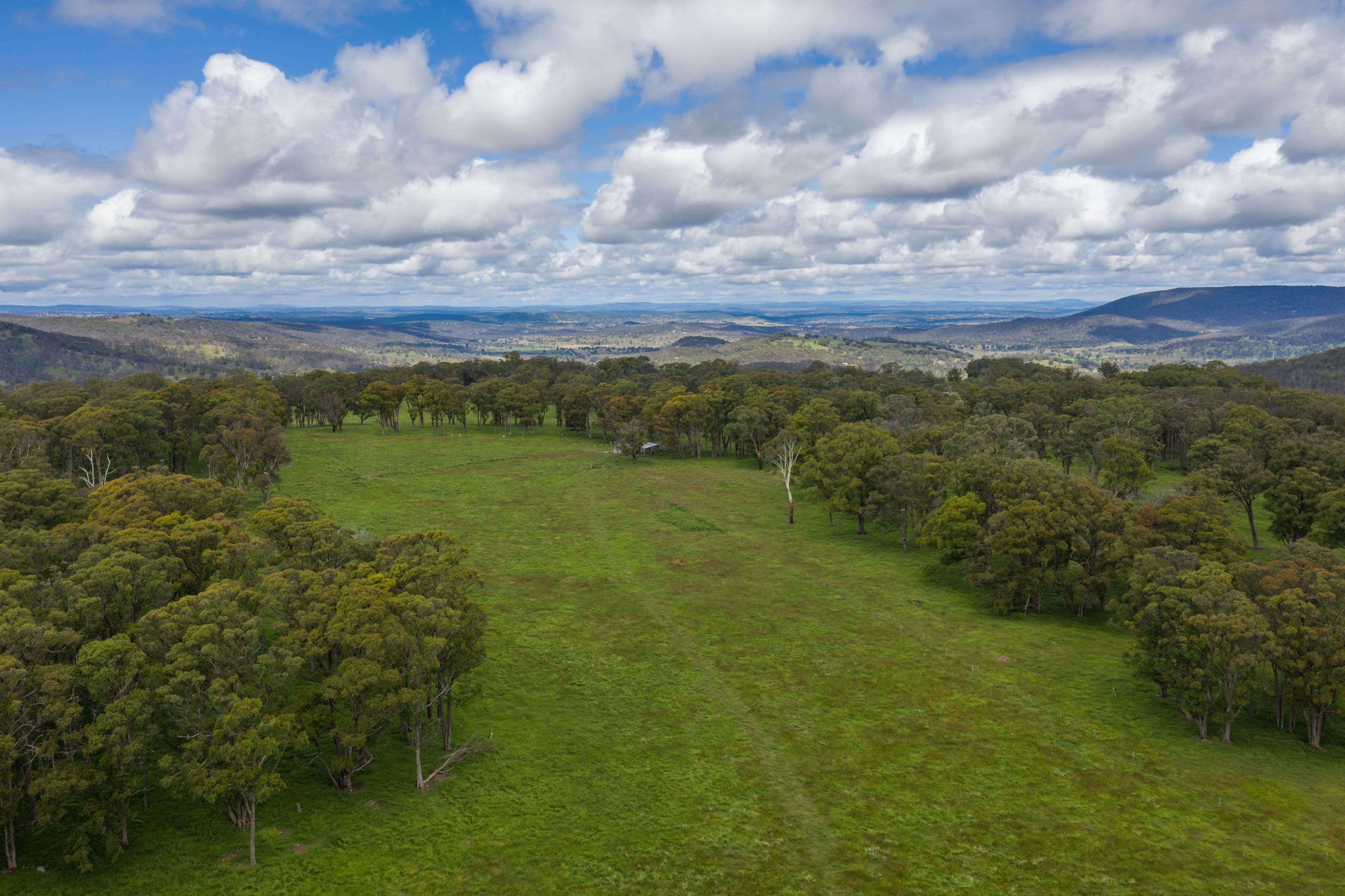135 Thorpes Lane, Black Mountain NSW 2365, Black Mountain - Image 1