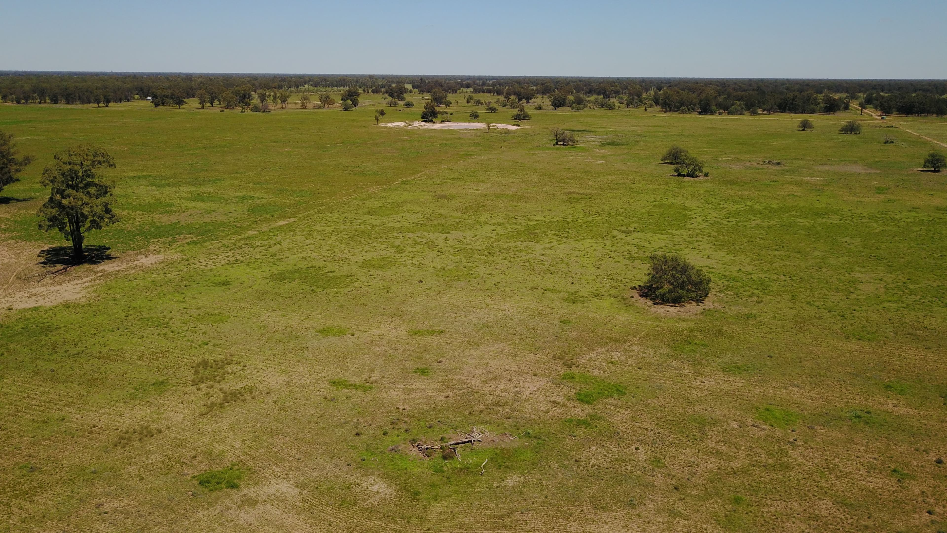 ' CULLENYA', GWABEGAR NSW 2356, Gwabegar - Image 1
