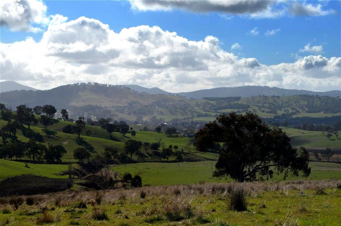 'Tanyard Creek' Stantons Road, ADELONG NSW 2729, Adelong - Thumbnail 7