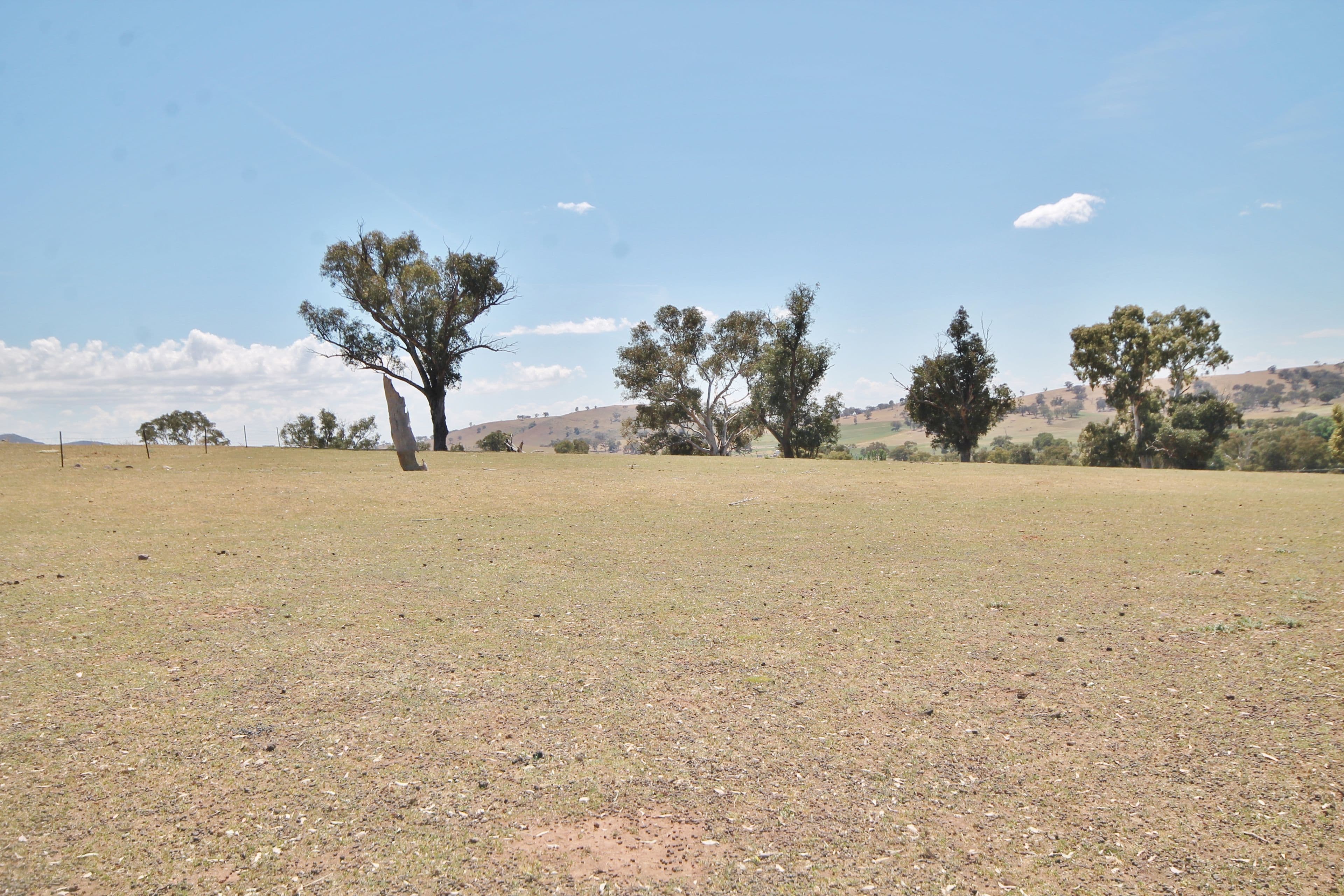 79 Dowling Drive Murringo via, Young NSW 2594, Young - Thumbnail 4