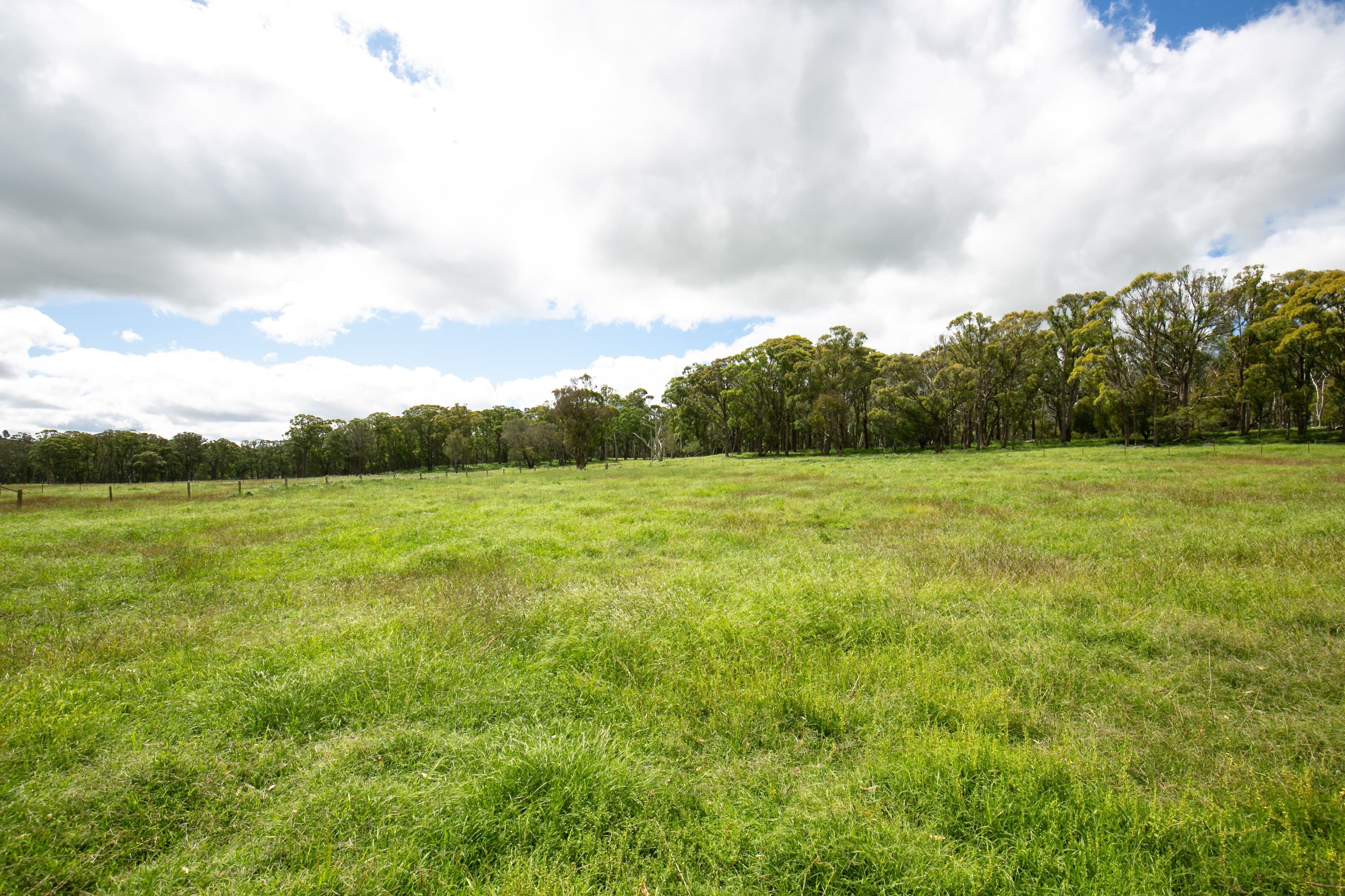 135 Thorpes Lane, Black Mountain NSW 2365, Black Mountain - Thumbnail 8