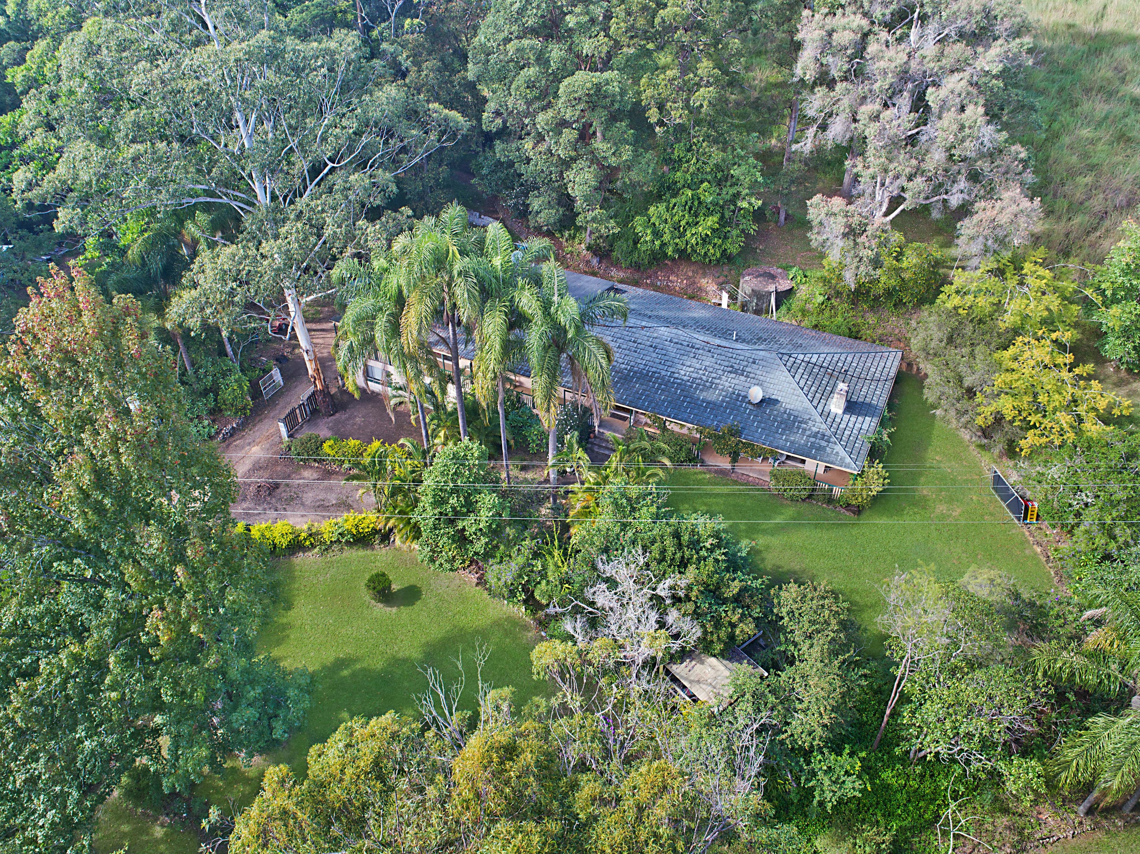 935 Tyalgum Road, Eungella NSW 2484, Eungella - Thumbnail 4
