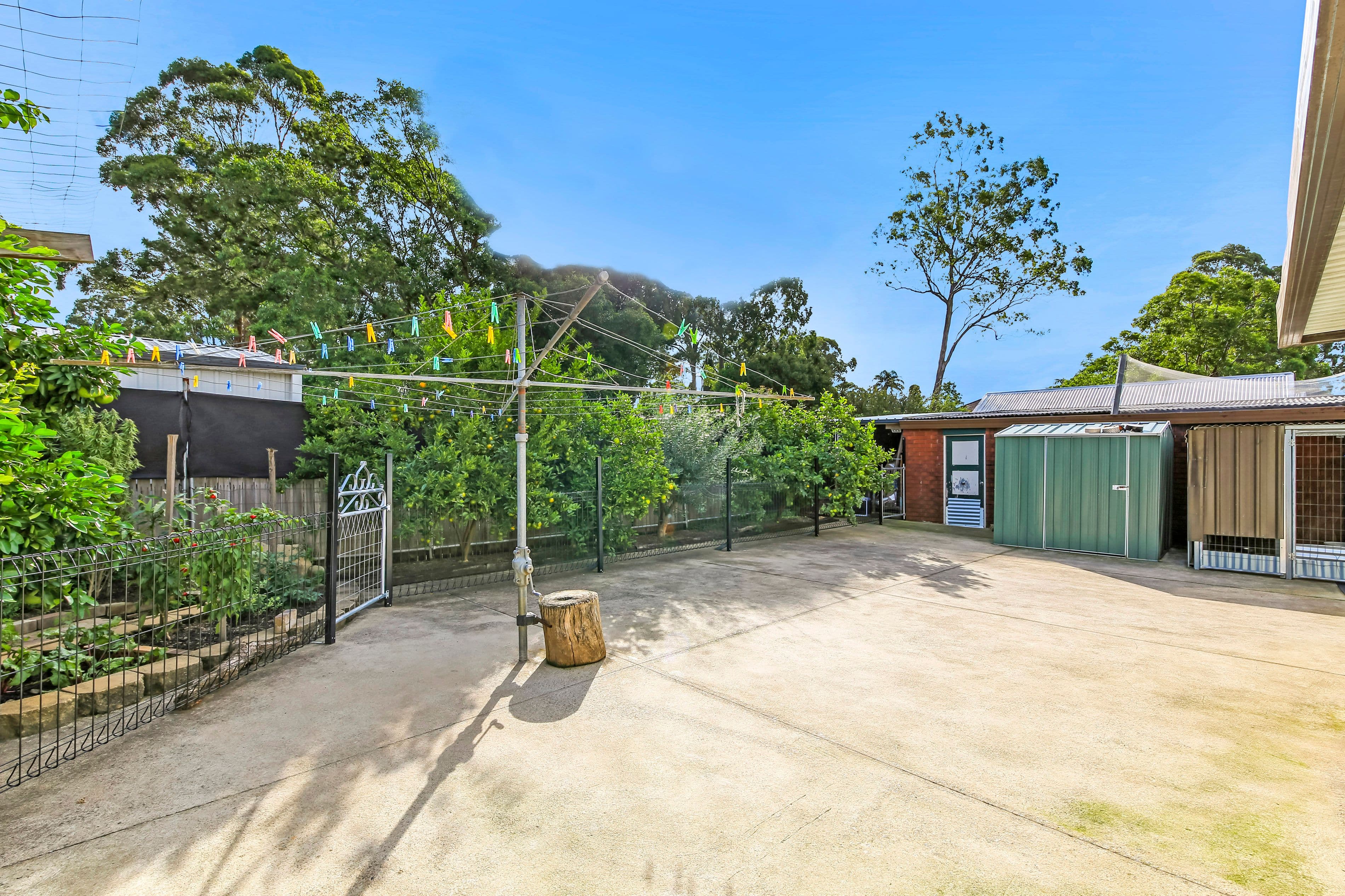62 Woodland Road, Chester Hill NSW 2162, Chester Hill - Thumbnail 8