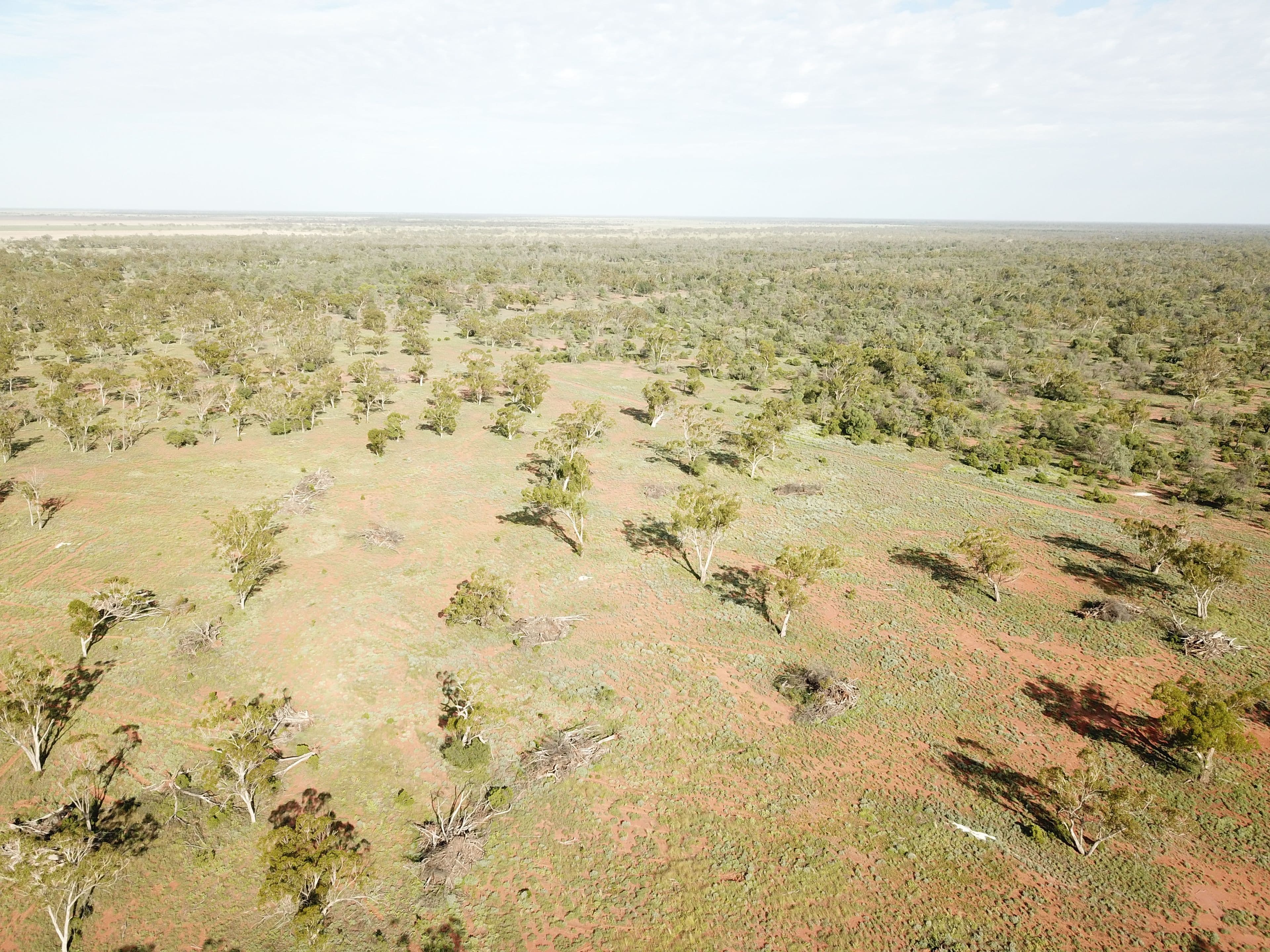 'Malabar' 2012 Wilby Wilby Road, Walgett NSW 2832, Walgett - Thumbnail 8
