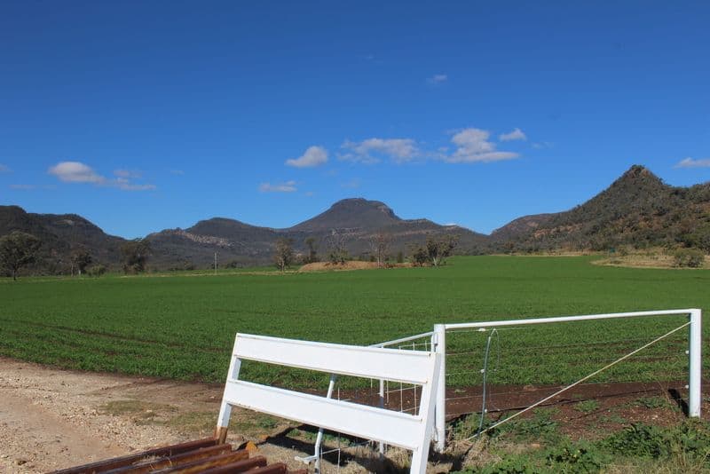 " Wilga Valley", Edgeroi NSW 2390, Edgeroi - Thumbnail 4