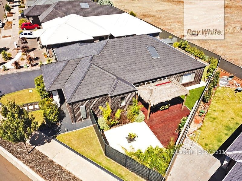 19 The Avenue, Blakeview SA 5114, Blakeview - Thumbnail 7