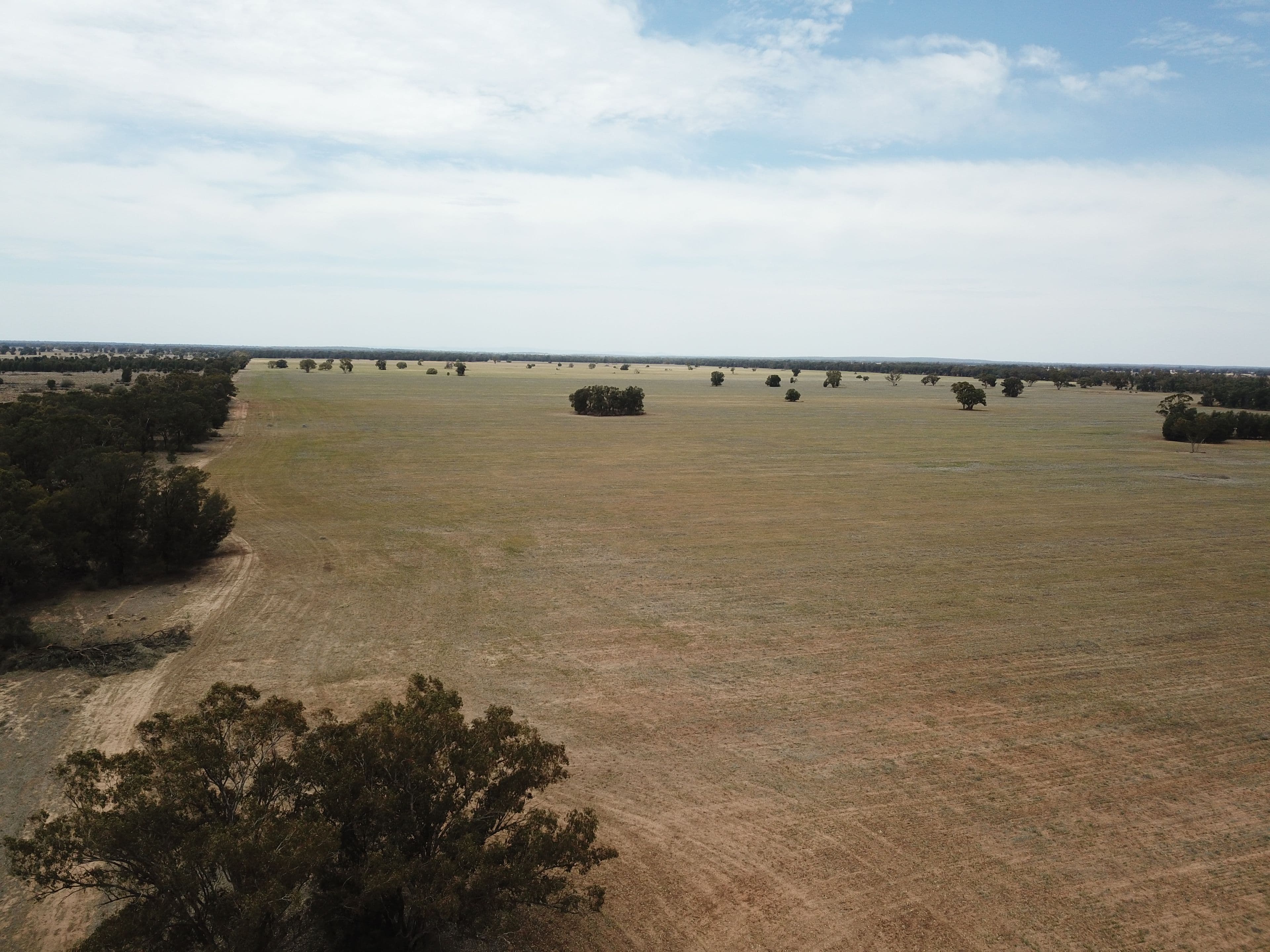 'Ossory' Aggregation, Narromine NSW 2821, Narromine - Thumbnail 5