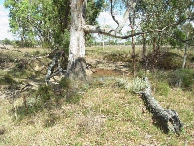 Lot 36 Leyburn Forestry Road, Thanes Creek QLD 4370, Thanes Creek - Image 1