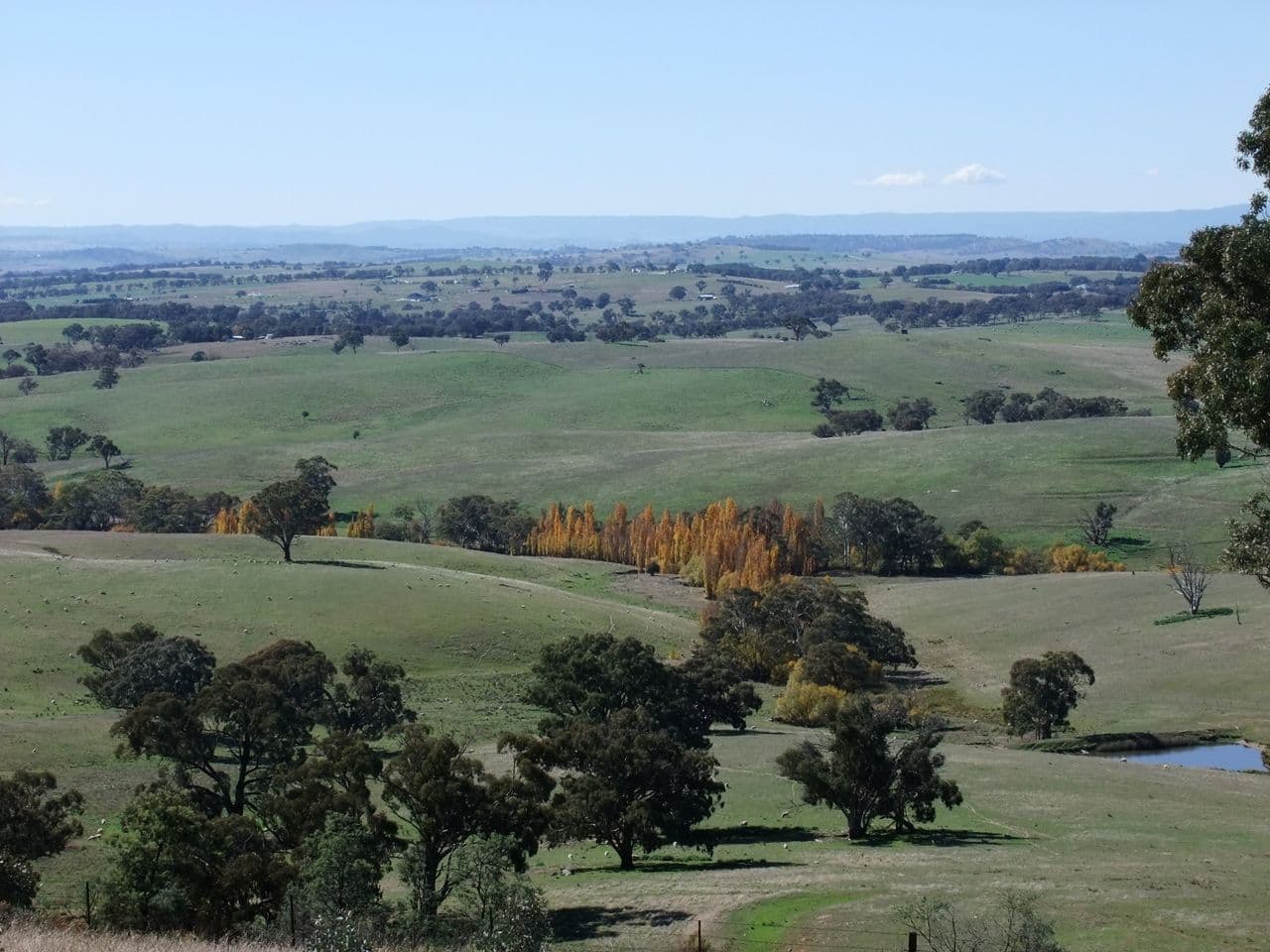 1046 Wimbledon Road, Bathurst NSW 2795, Bathurst - Thumbnail 8