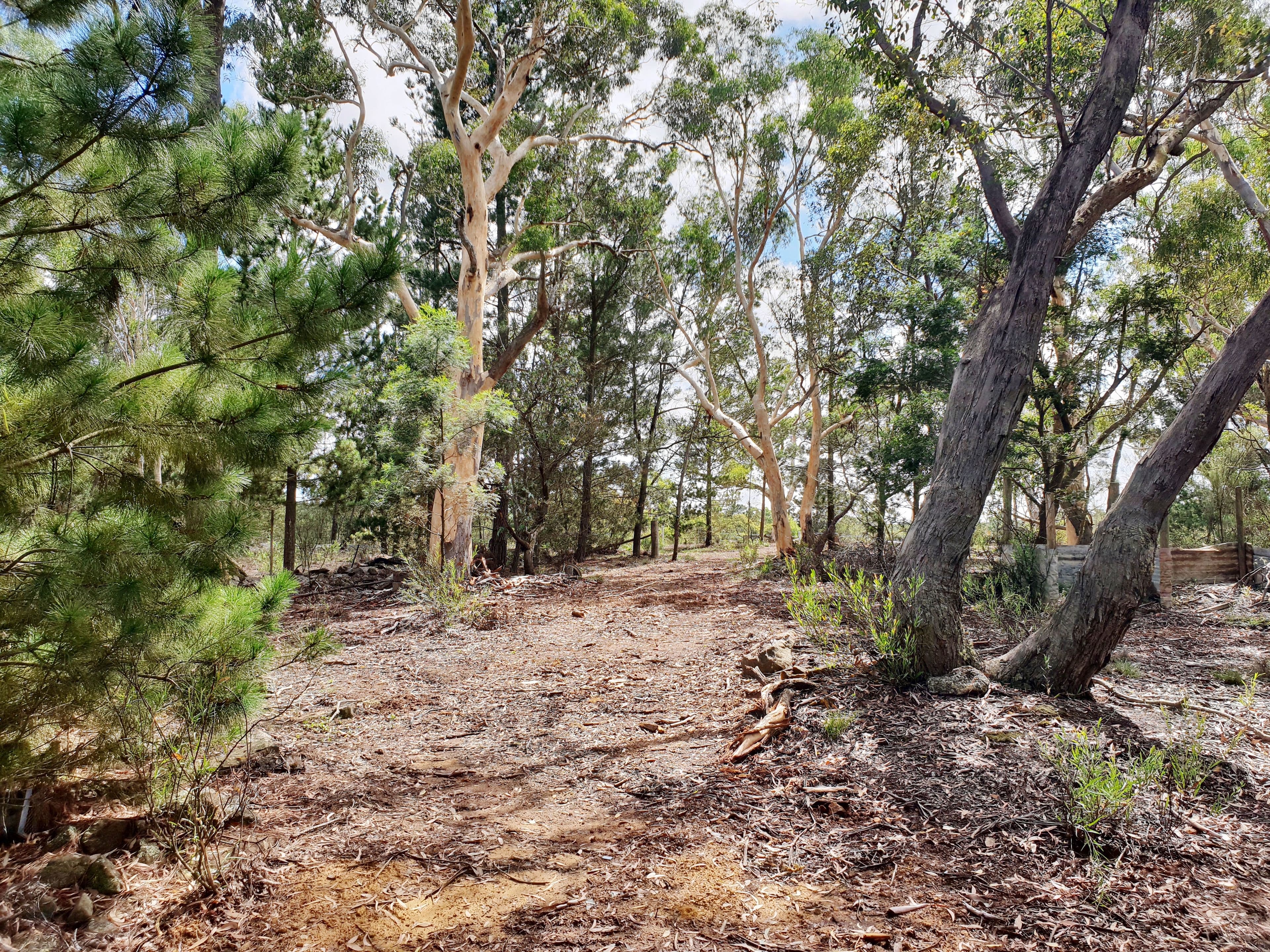 124 Nerriga Road, Braidwood NSW 2622, Braidwood - Thumbnail 8