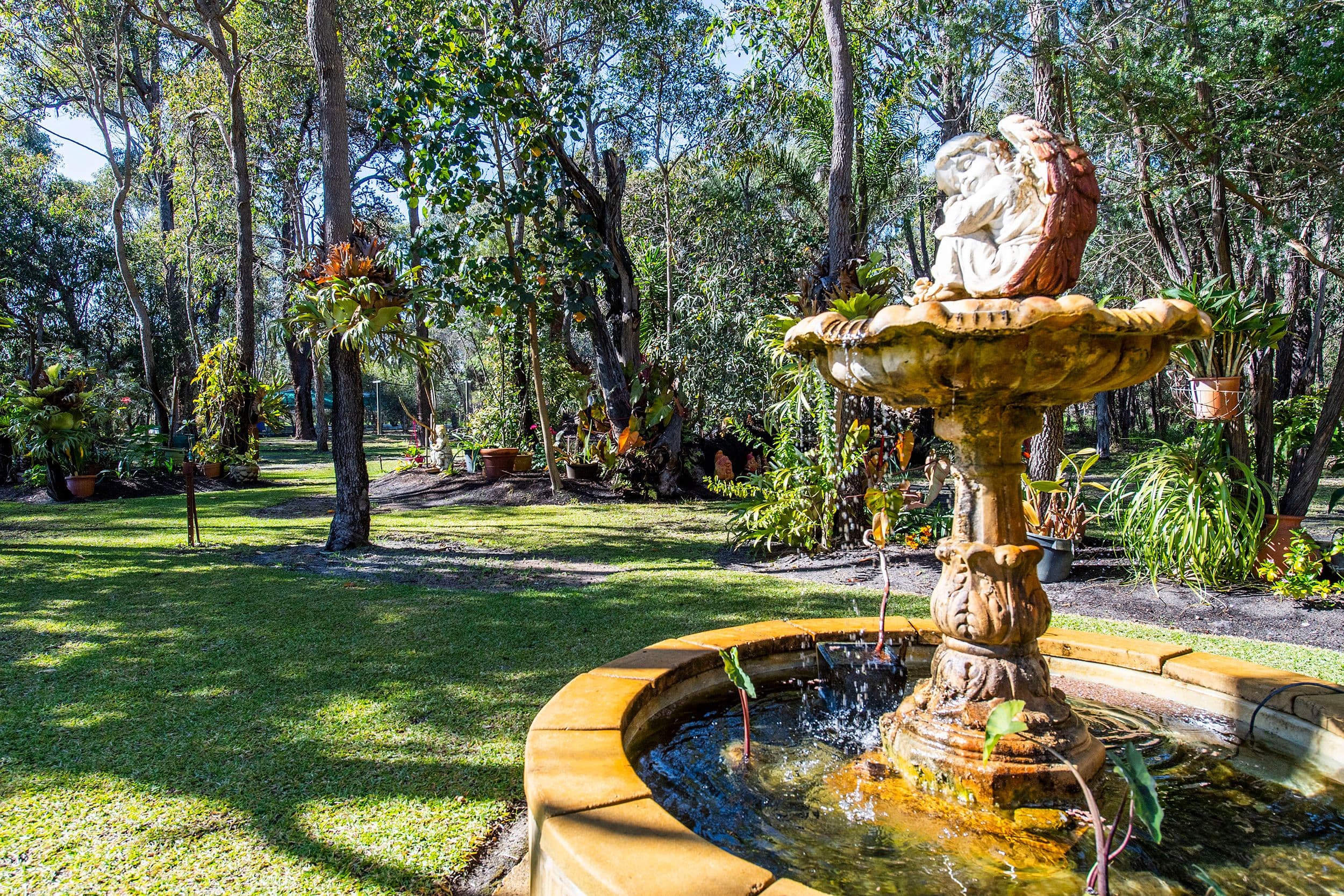71 Wicksteed Close, Baldivis WA 6171, Baldivis - Thumbnail 4