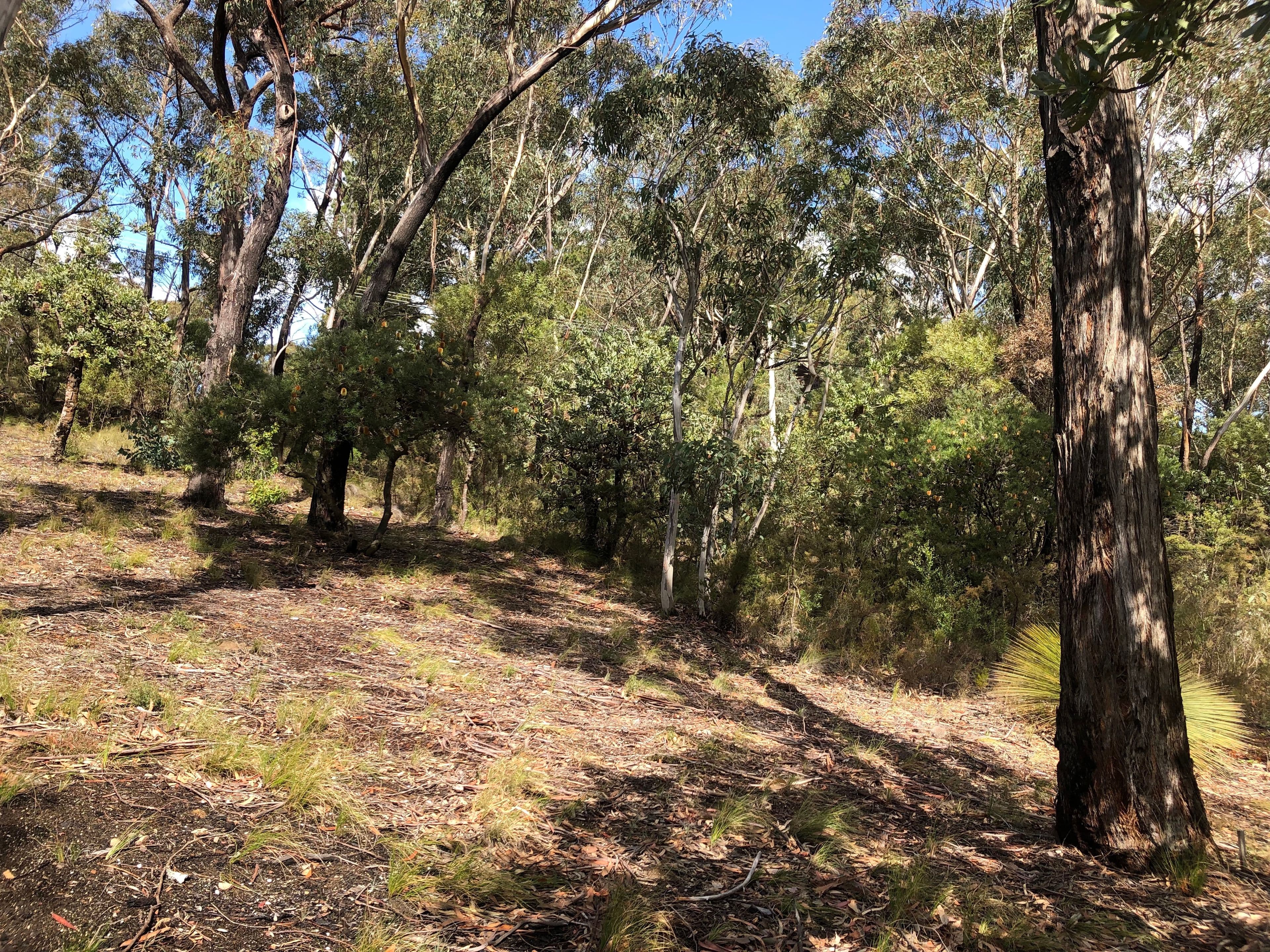 25 Innes Road, Mount Victoria NSW 2786, Mount Victoria - Thumbnail 5