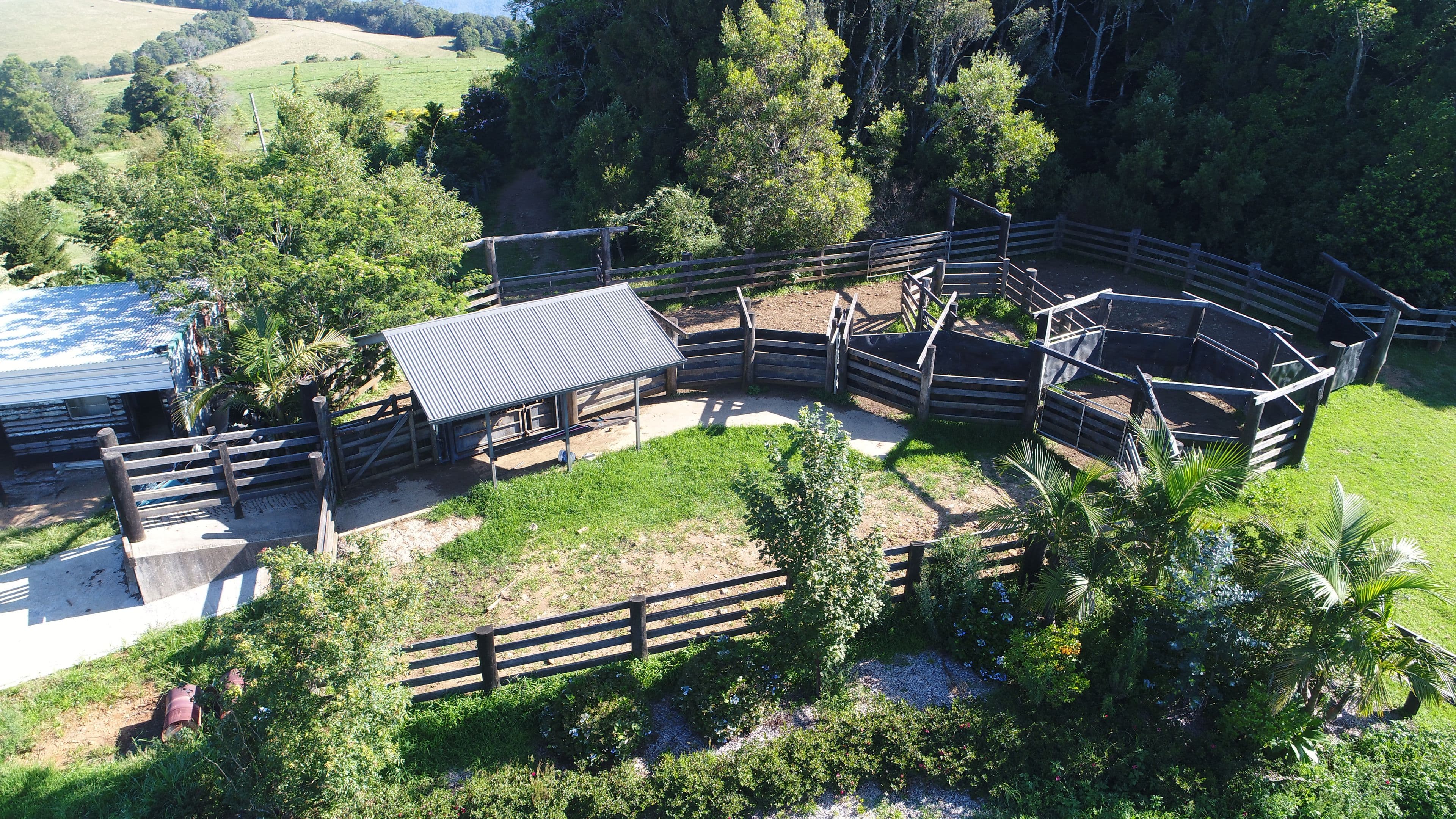 Dorrigo NSW 2453, Dorrigo - Thumbnail 4