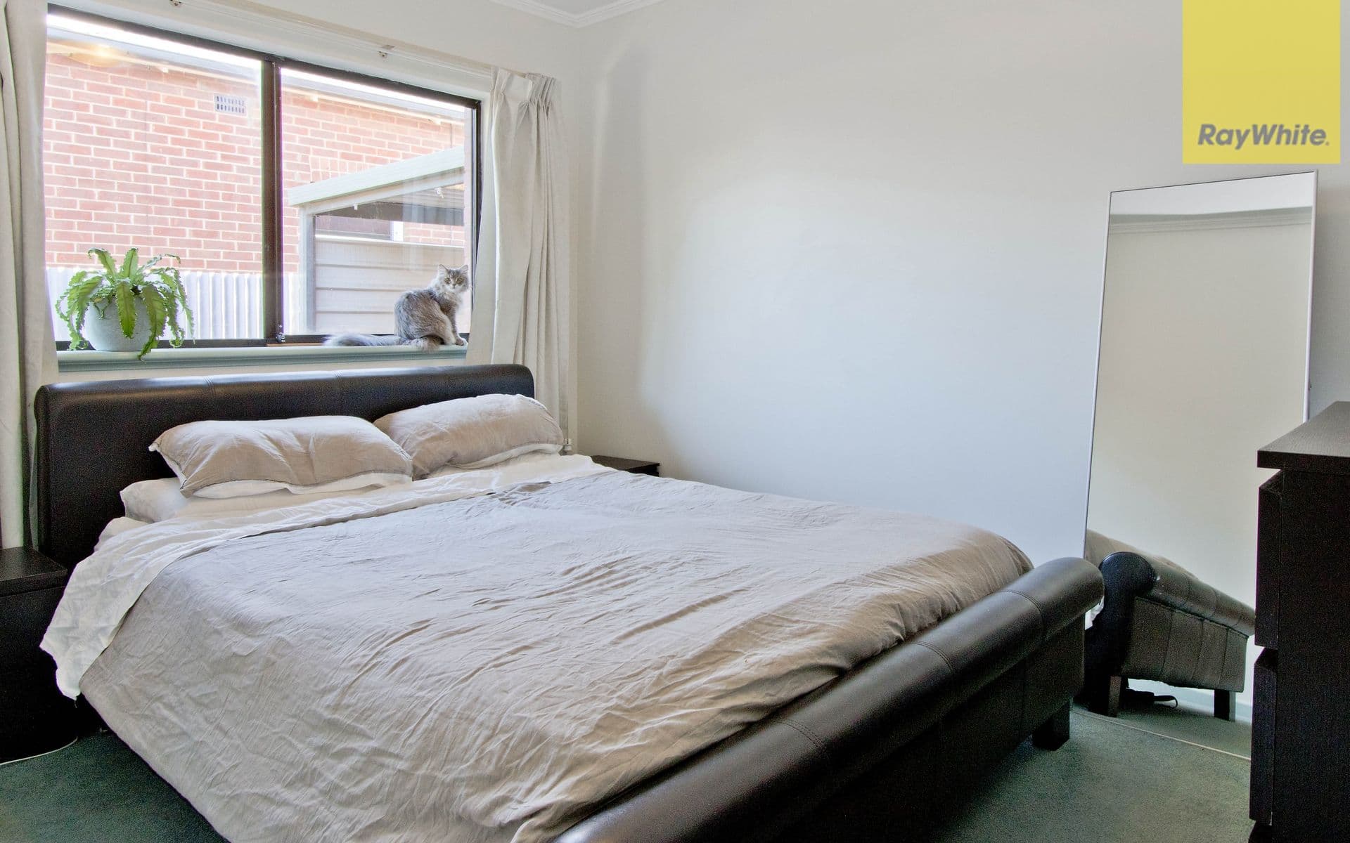 3 Fernleigh Street, Underdale SA 5032, Underdale - Thumbnail 7