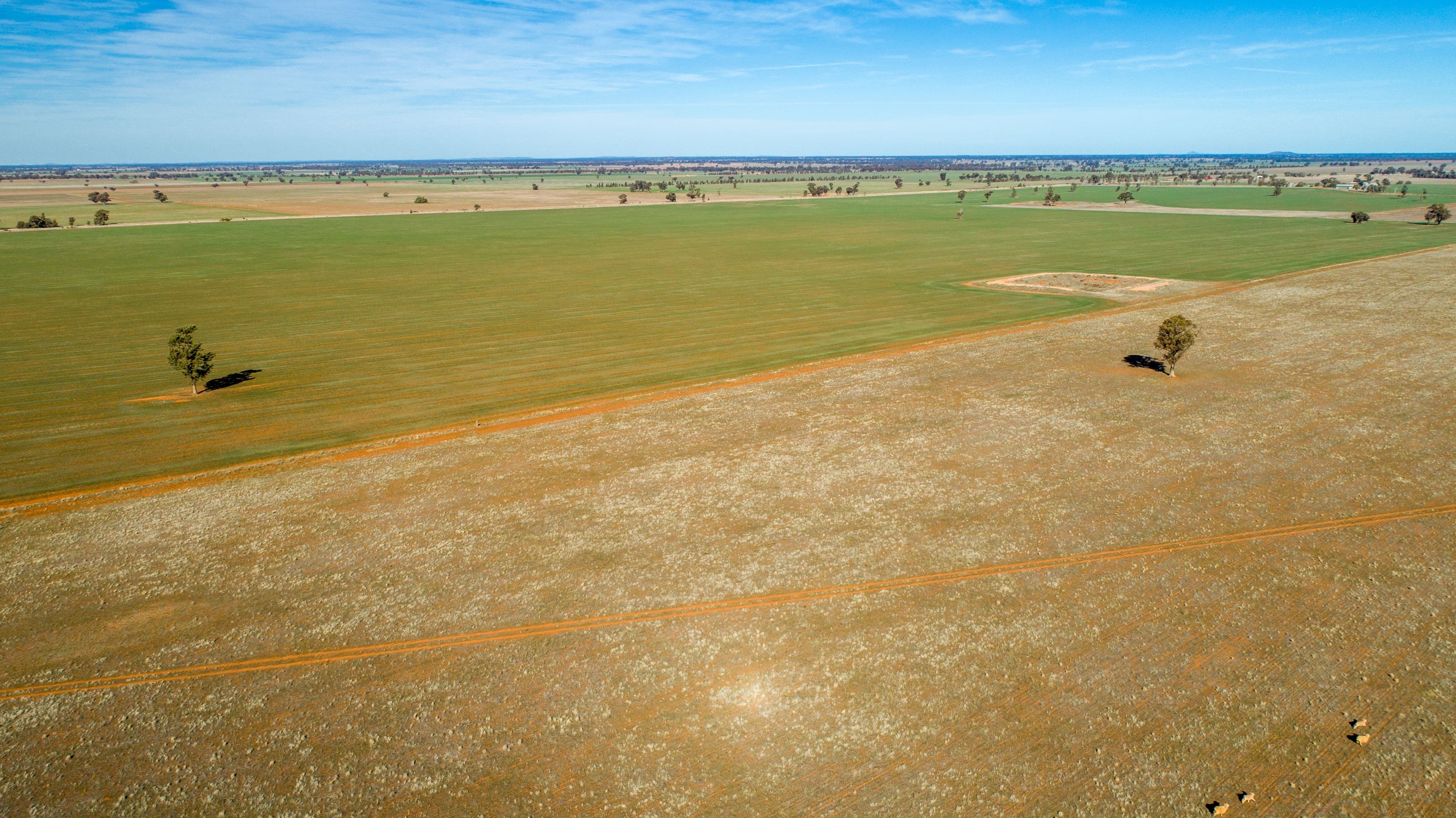 Narrandera NSW 2700, Narrandera - Thumbnail 5