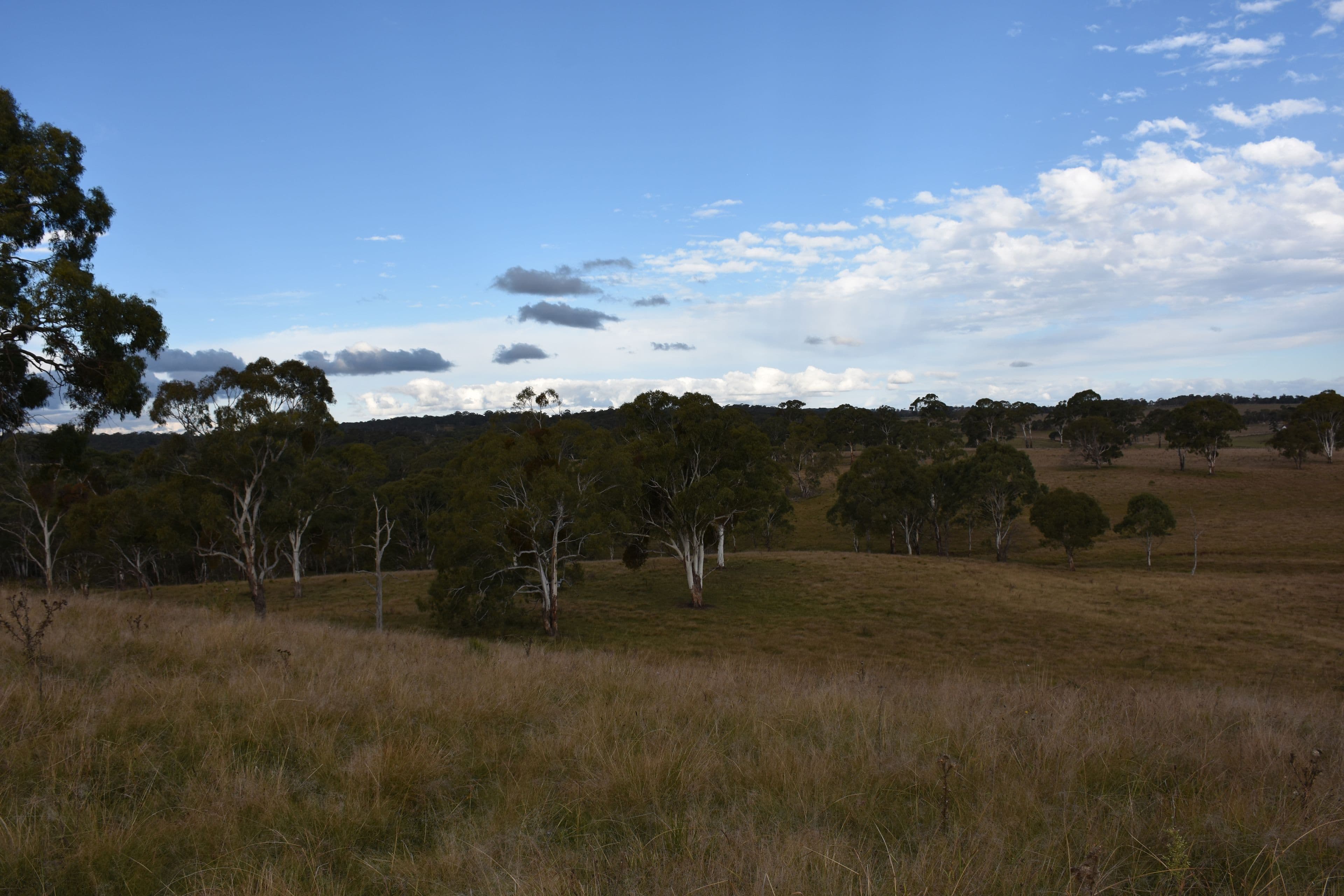 0 Donnelly's, Glen Innes NSW 2370, Glen Innes - Thumbnail 8