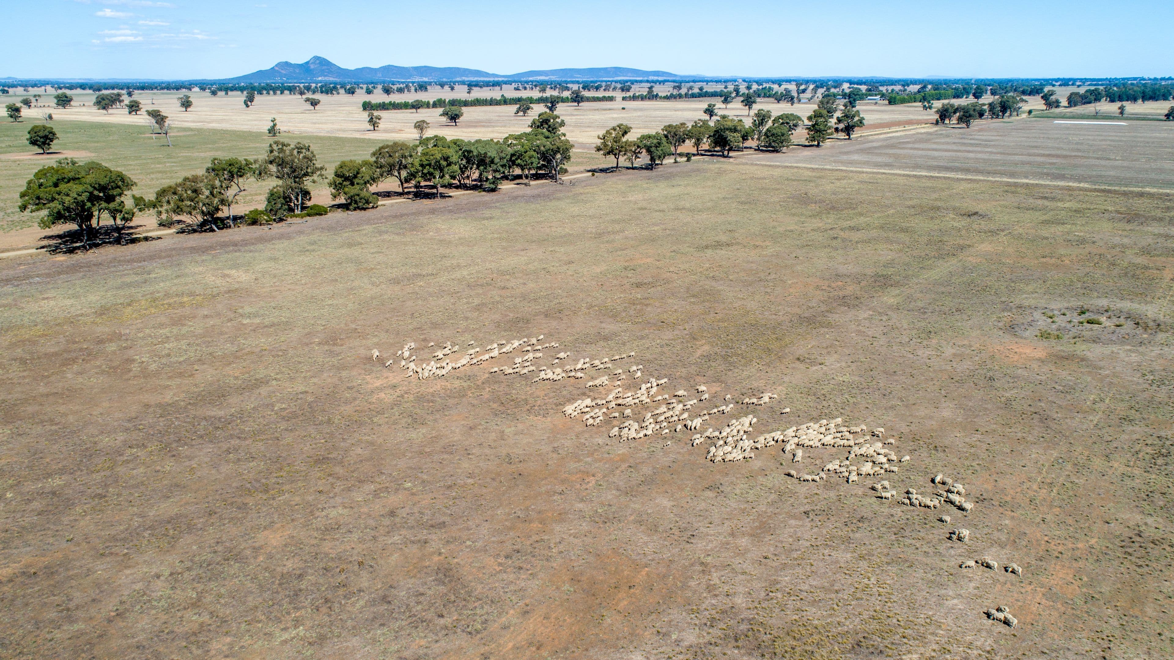 368 Bullenbong Road, THE ROCK NSW 2655, The Rock - Image 1
