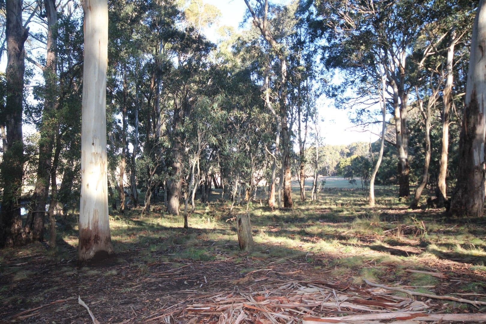 95 Tuglow Road, Oberon NSW 2787, Oberon - Thumbnail 8