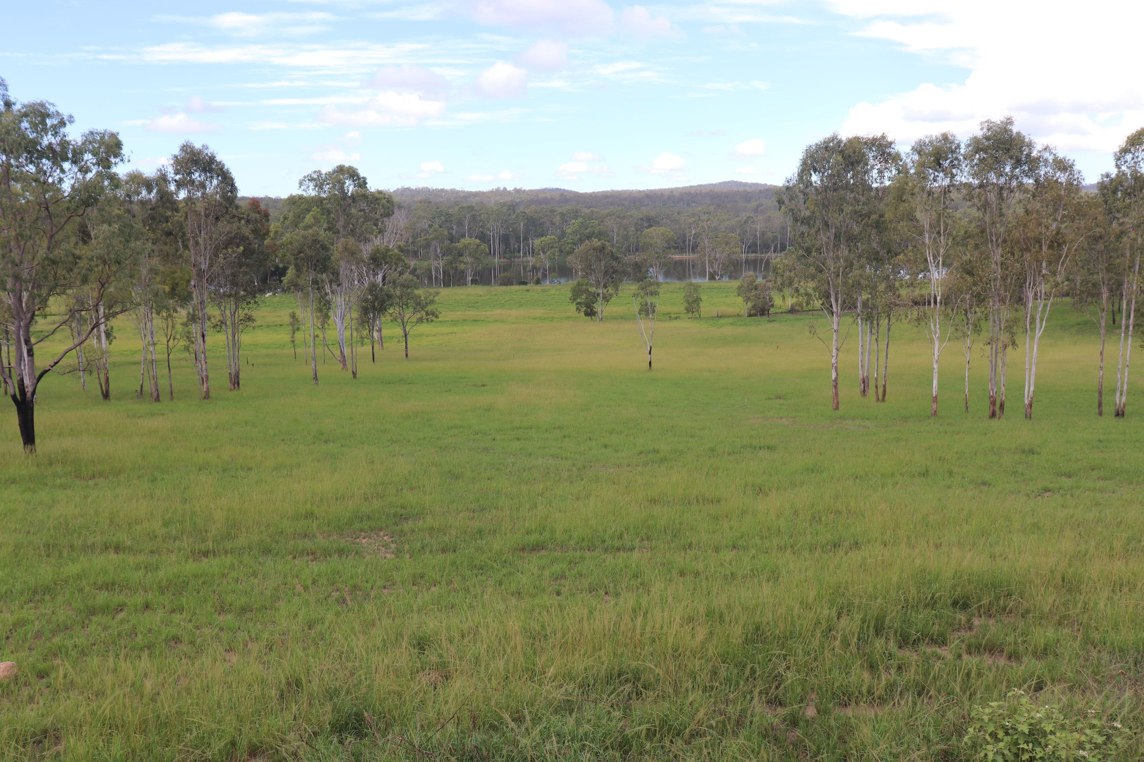 39040 Bruce Highway, Gin Gin QLD 4671, Gin Gin - Image 1