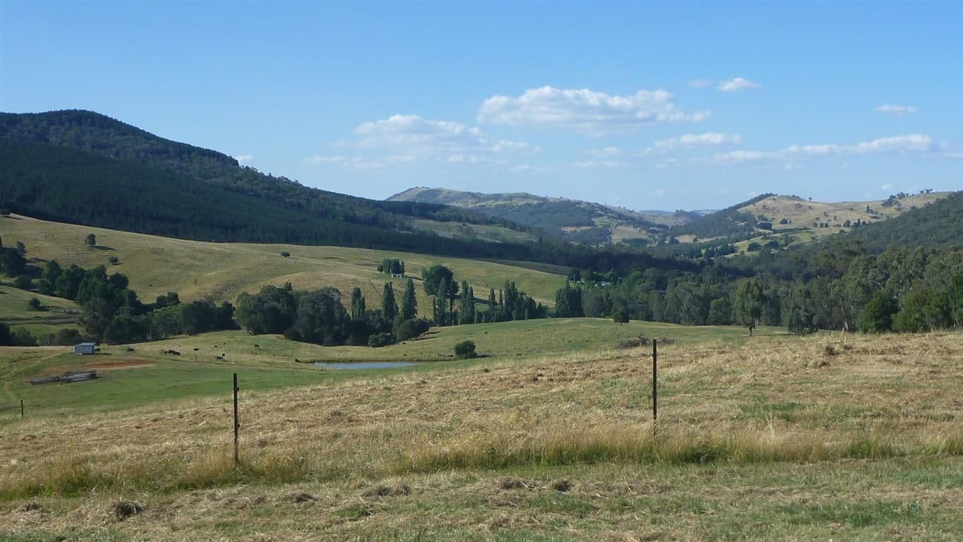 Lot 3 Old Tumbarumba Road, Tumut NSW 2720, Tumut - Thumbnail 3