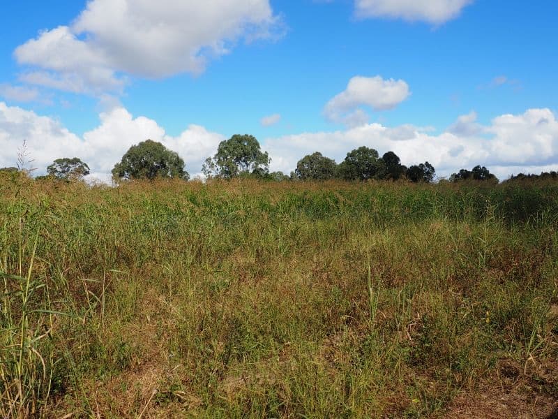 0 Napier Street, Granville QLD 4650, Granville - Image 1