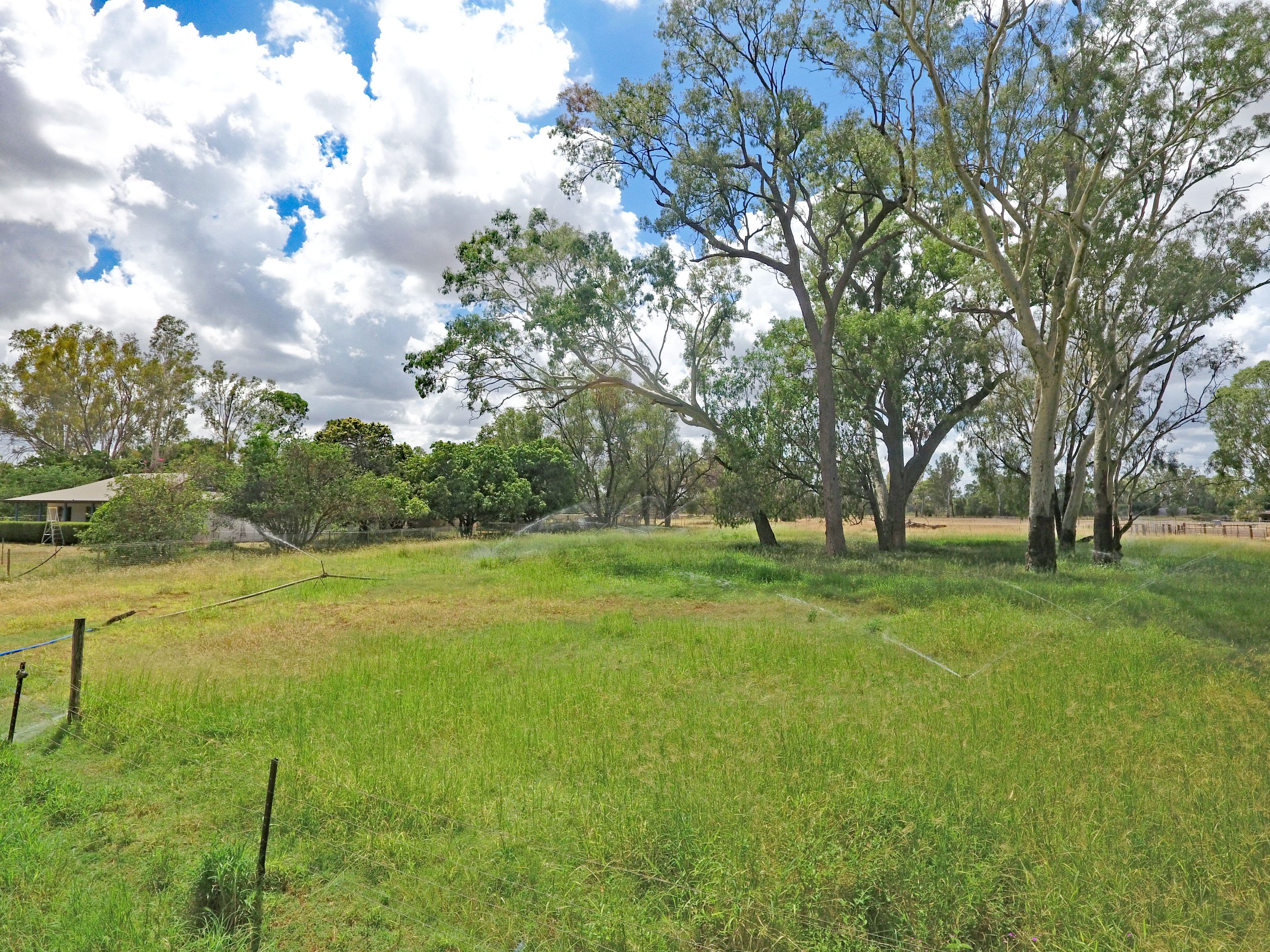 171 Saleyards Road, Kianga QLD 4718, Kianga - Thumbnail 4