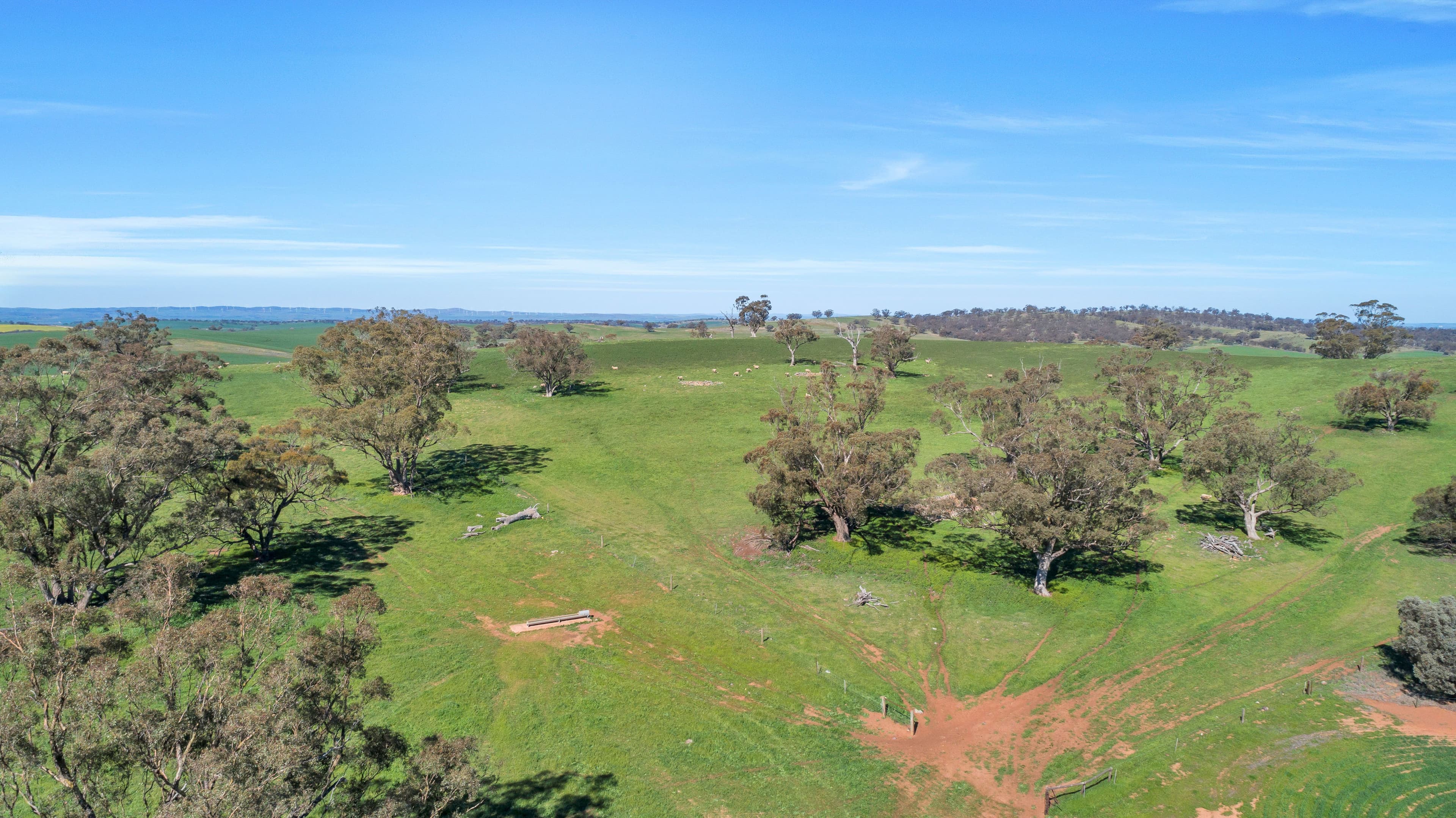 'Pinerow' Lot 782 Horrocks Highway, Wongyarra SA 5481, Wongyarra - Thumbnail 7