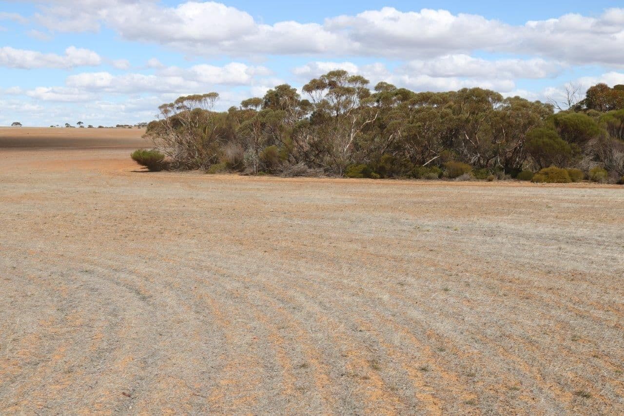 L265 Calzoni Road, Woolocutty WA 6369, Woolocutty - Thumbnail 5