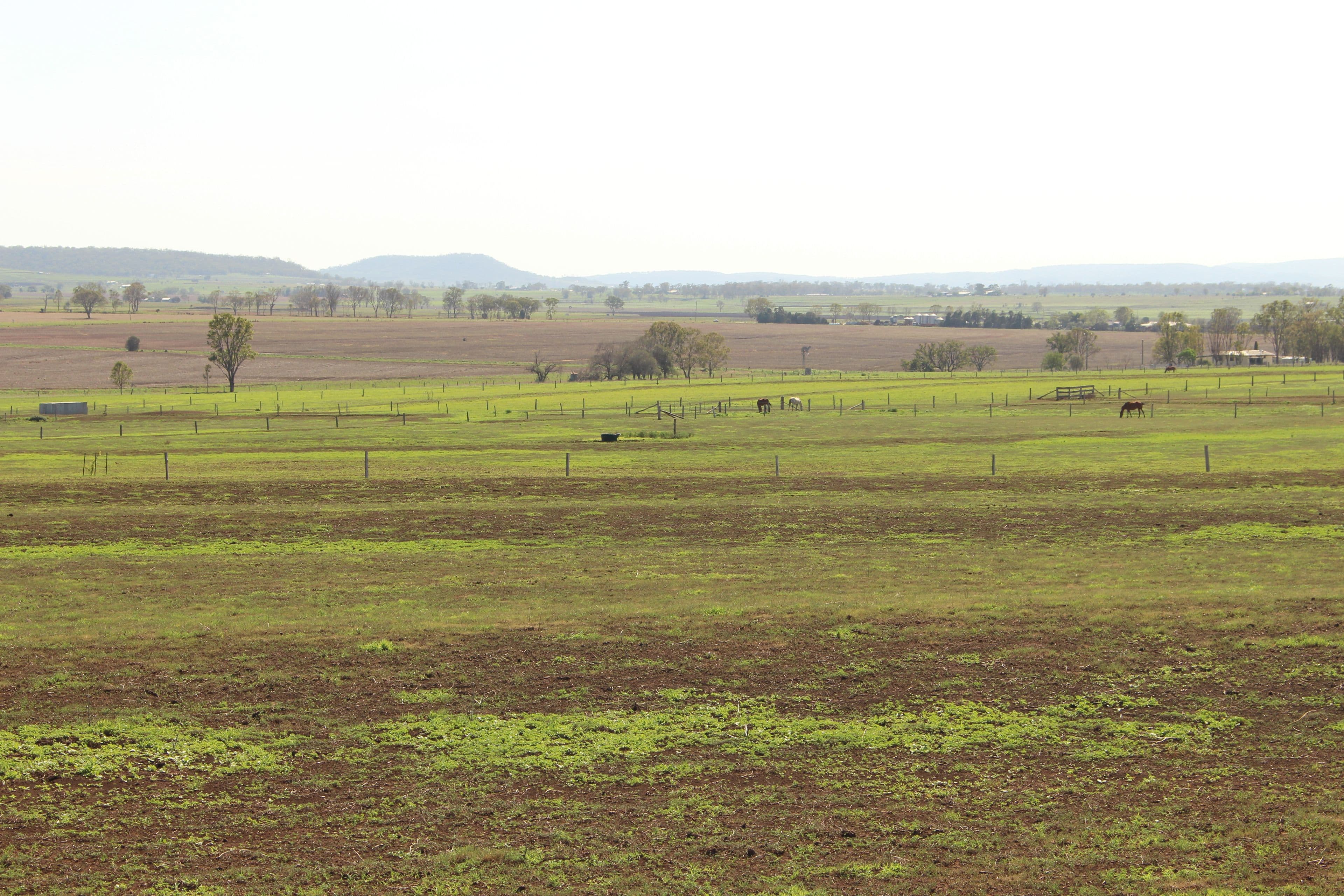491 Doolan Road, Nobby QLD 4360, Nobby - Thumbnail 4
