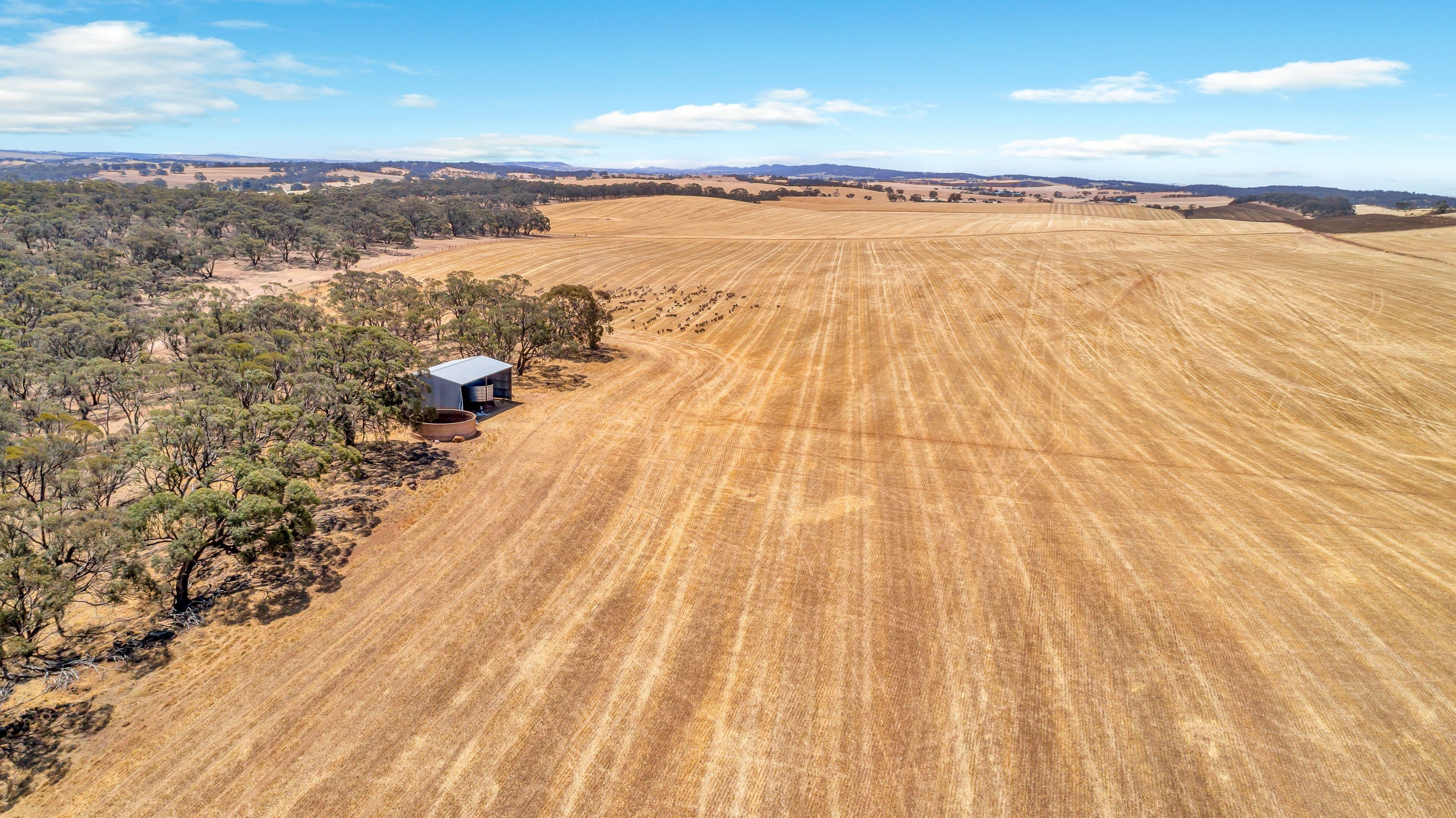 'Roehrs' 249 Roehr Road, Tarnma SA 5413, Tarnma - Thumbnail 4