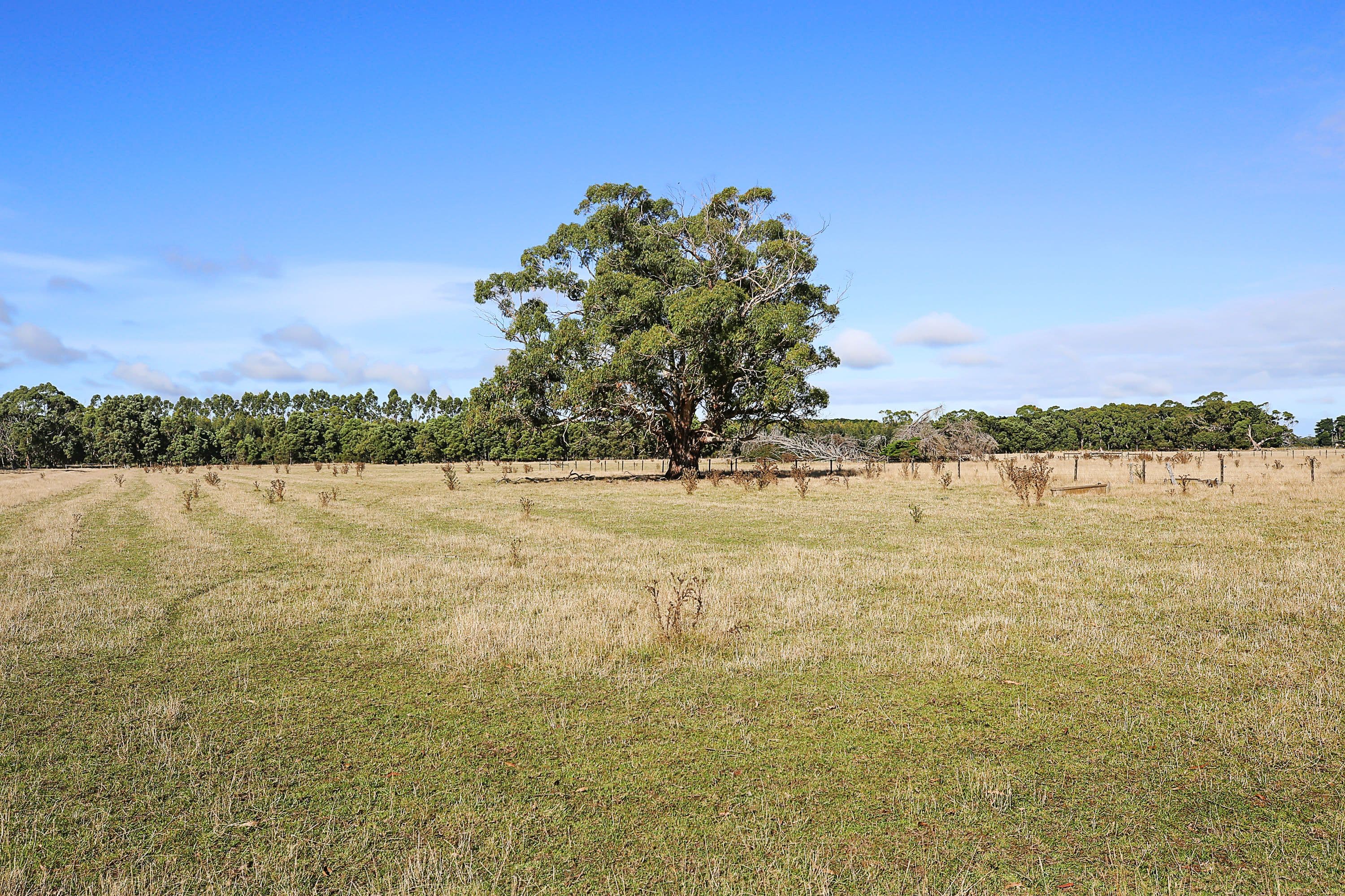 331 Nehill and Alexanders Road, South Purrumbete VIC 3260, South Purrumbete - Thumbnail 6