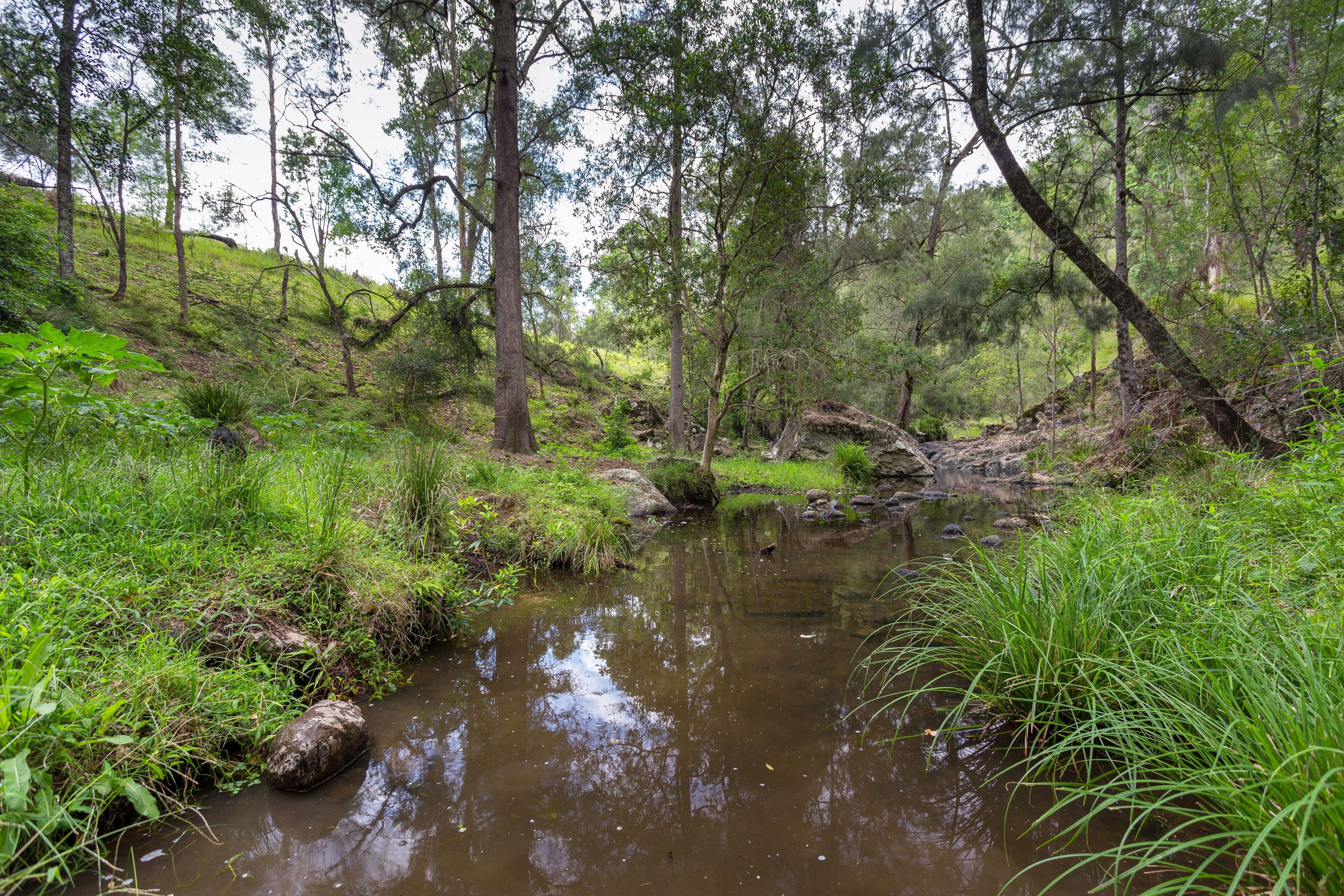 188 Enfield Range Road, Cooplacurripa NSW 2424, Cooplacurripa - Thumbnail 4