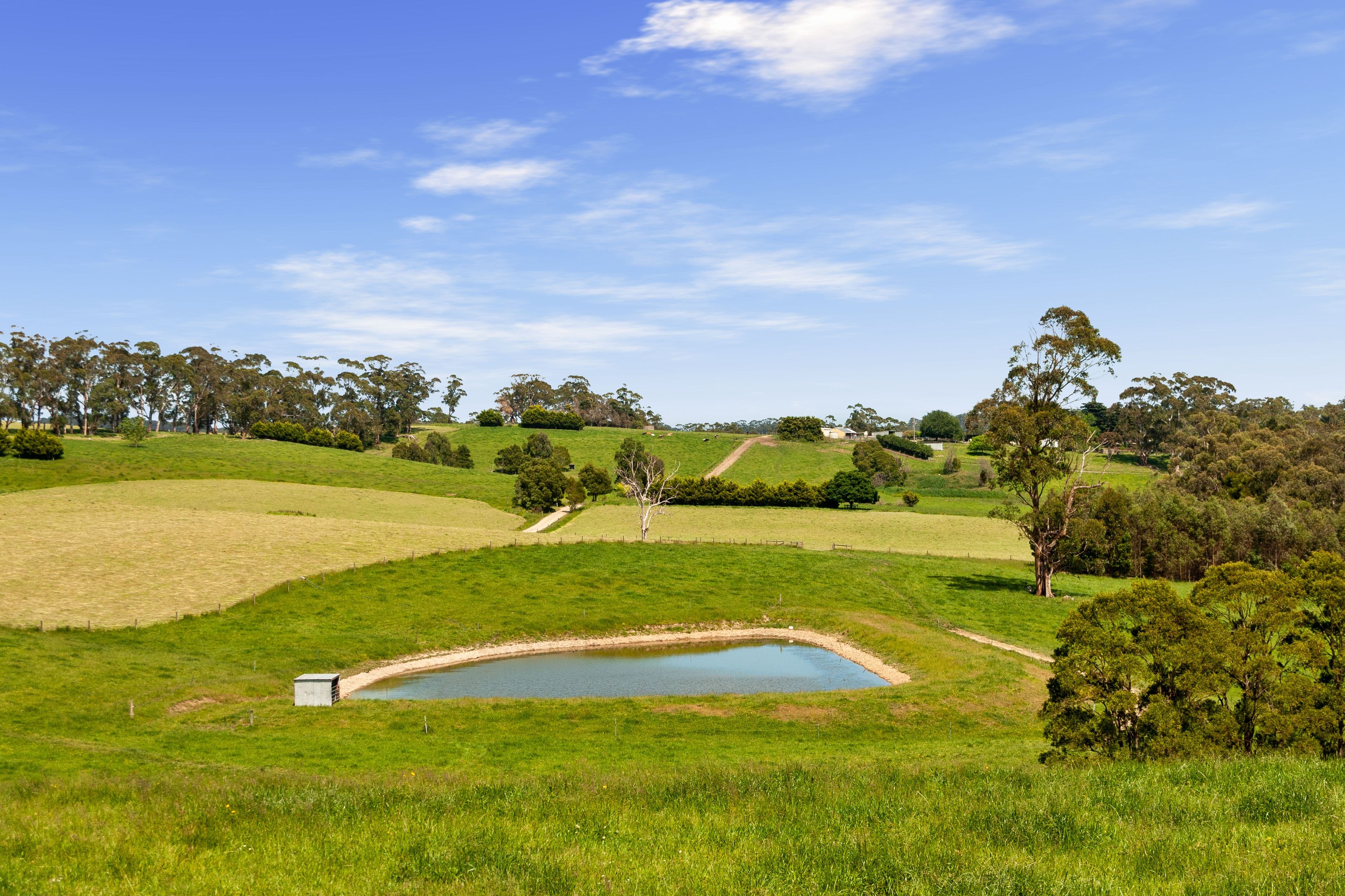 173 Torwood-Topiram Road,, Hallora VIC 3818, Hallora - Thumbnail 5
