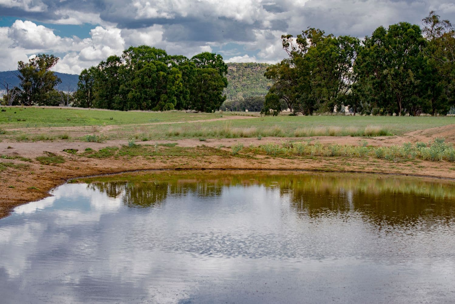 ' CARLTON', Coonabarabran NSW 2357, Coonabarabran - Thumbnail 3