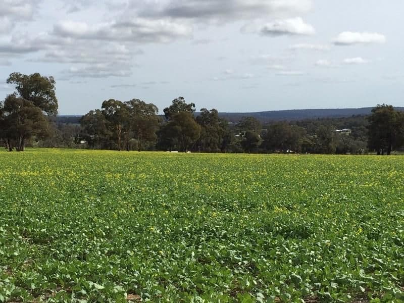 Boase Road Farm, Bakers Hill WA 6562, Bakers Hill - Image 1