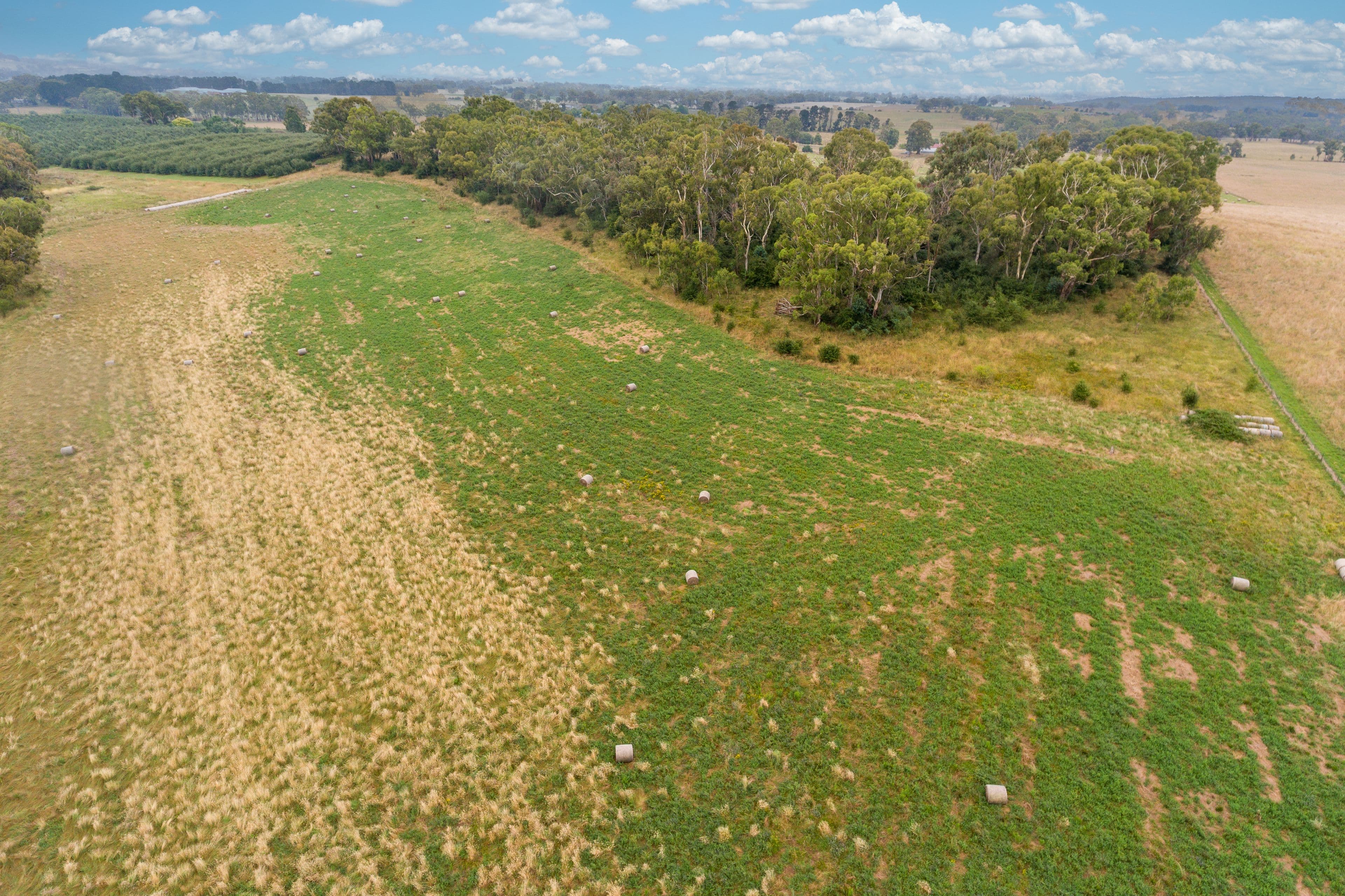 163 Ginns Road, Orange NSW 2800, Orange - Thumbnail 8