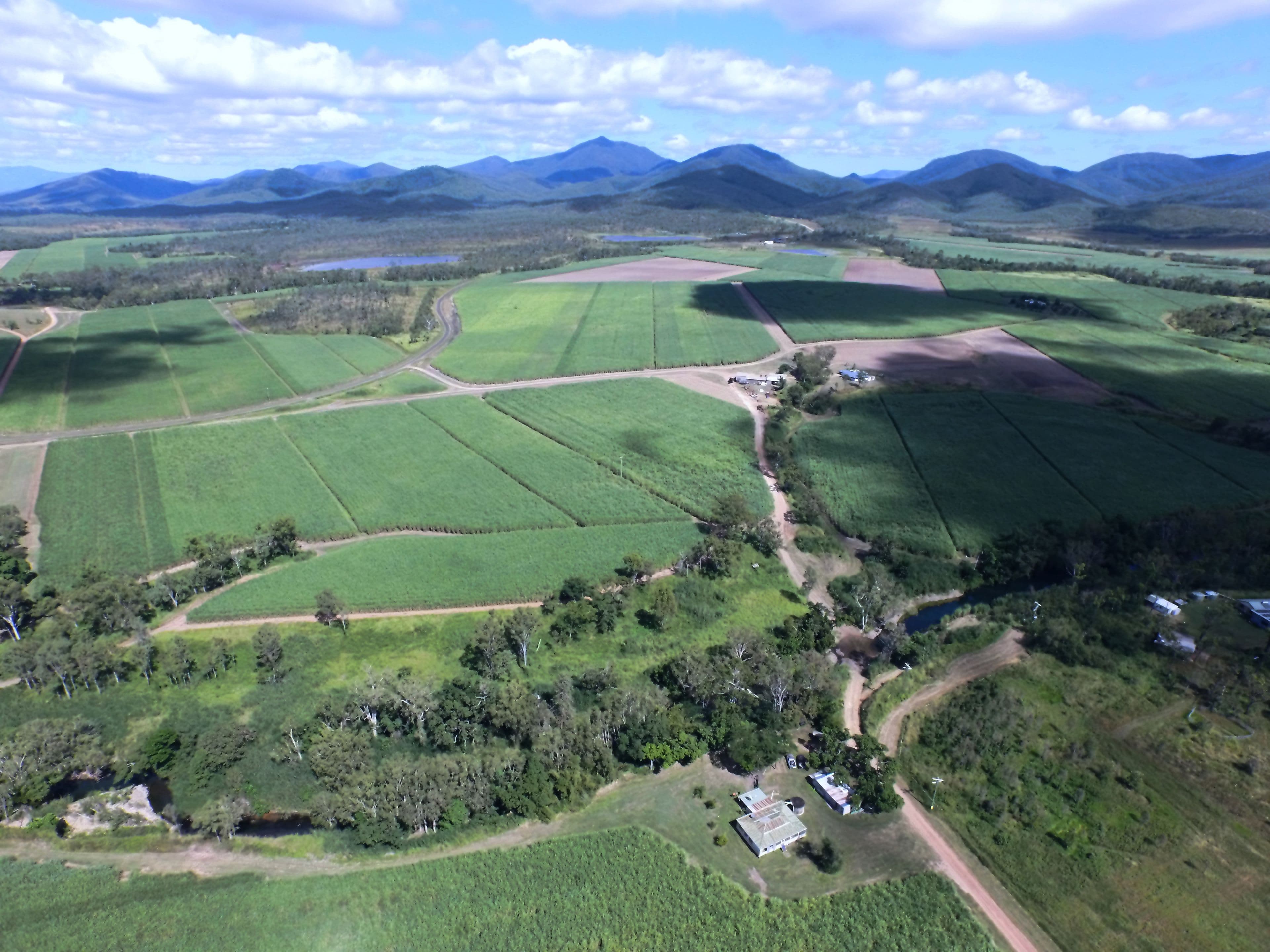 1426 Kelsey Creek Road, Proserpine QLD 4800, Proserpine - Thumbnail 2